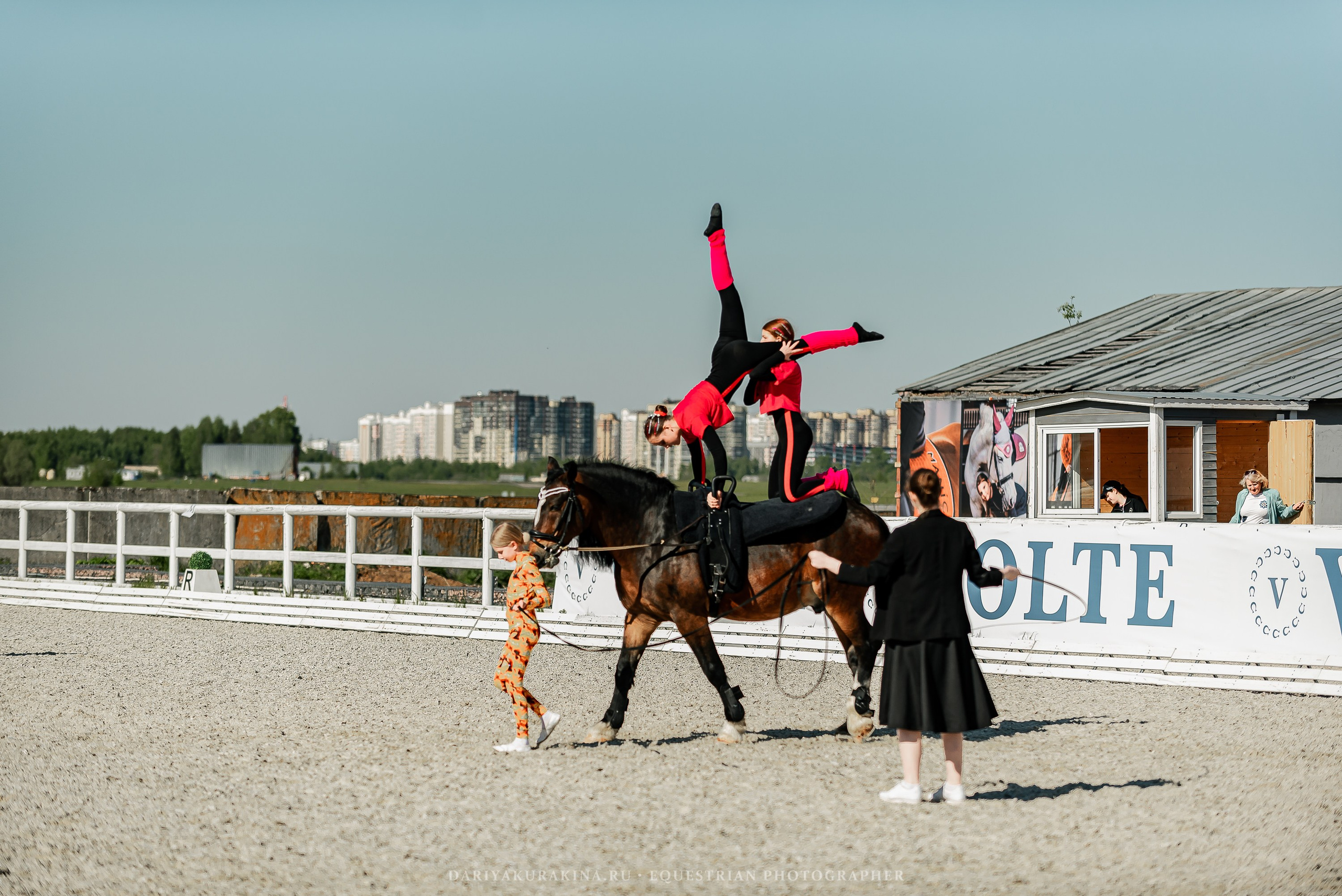 РЕПОРТАЖ МКК ВОЛЬТ «LA TULIPS». Конный фотограф Куракина Дарья • Фотосессии с лошадьми