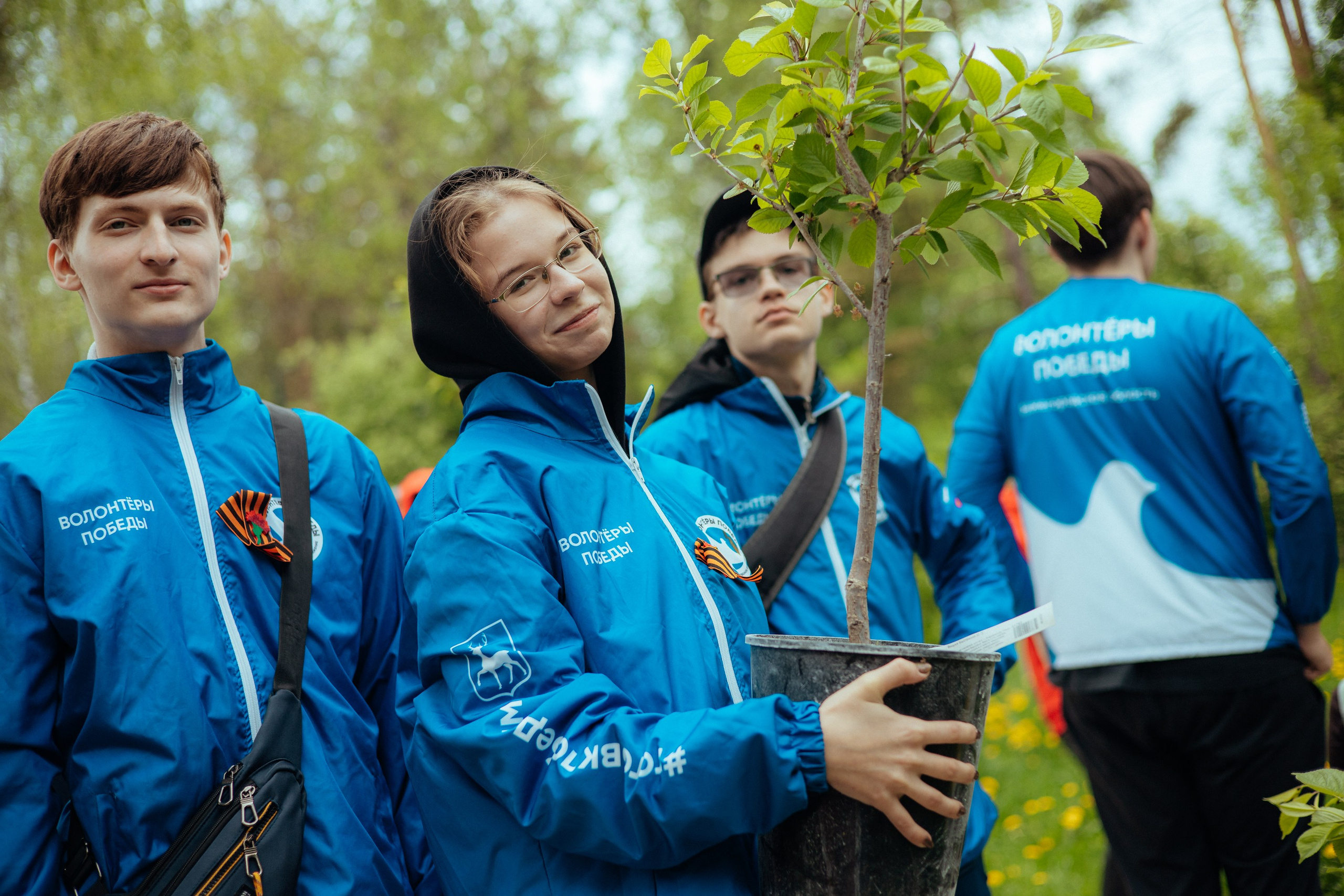 Сад памяти | волонтеры победы