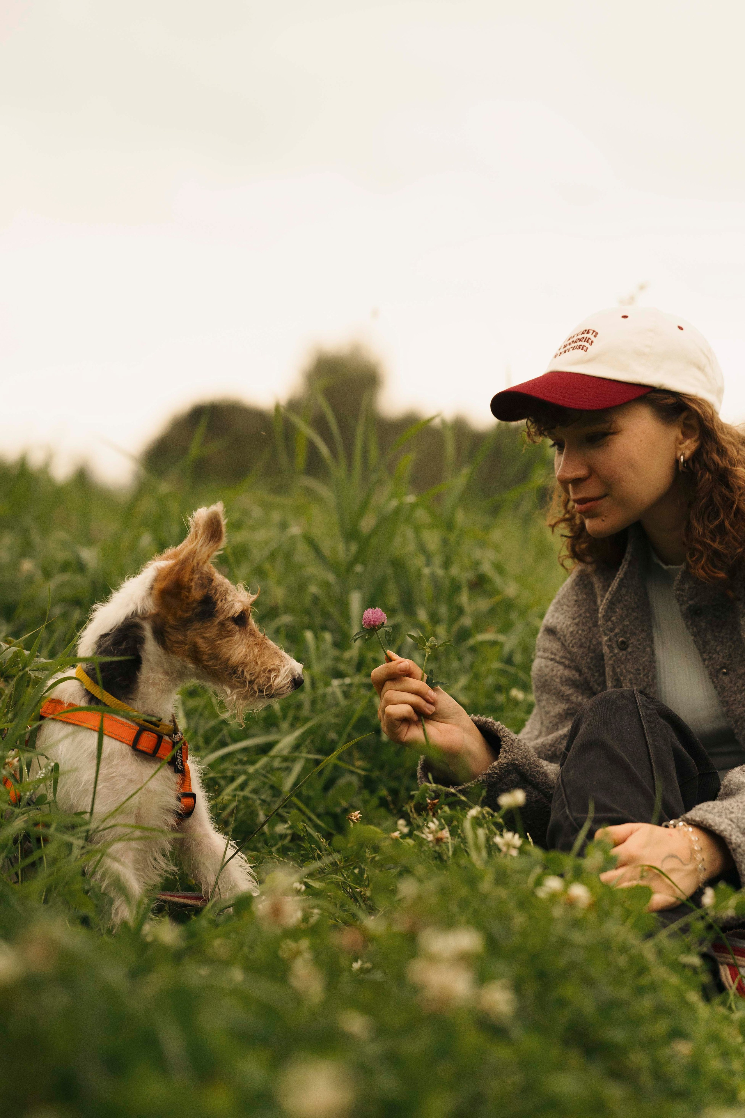 Мартин. Фотограф- анималист Александра Матвеева