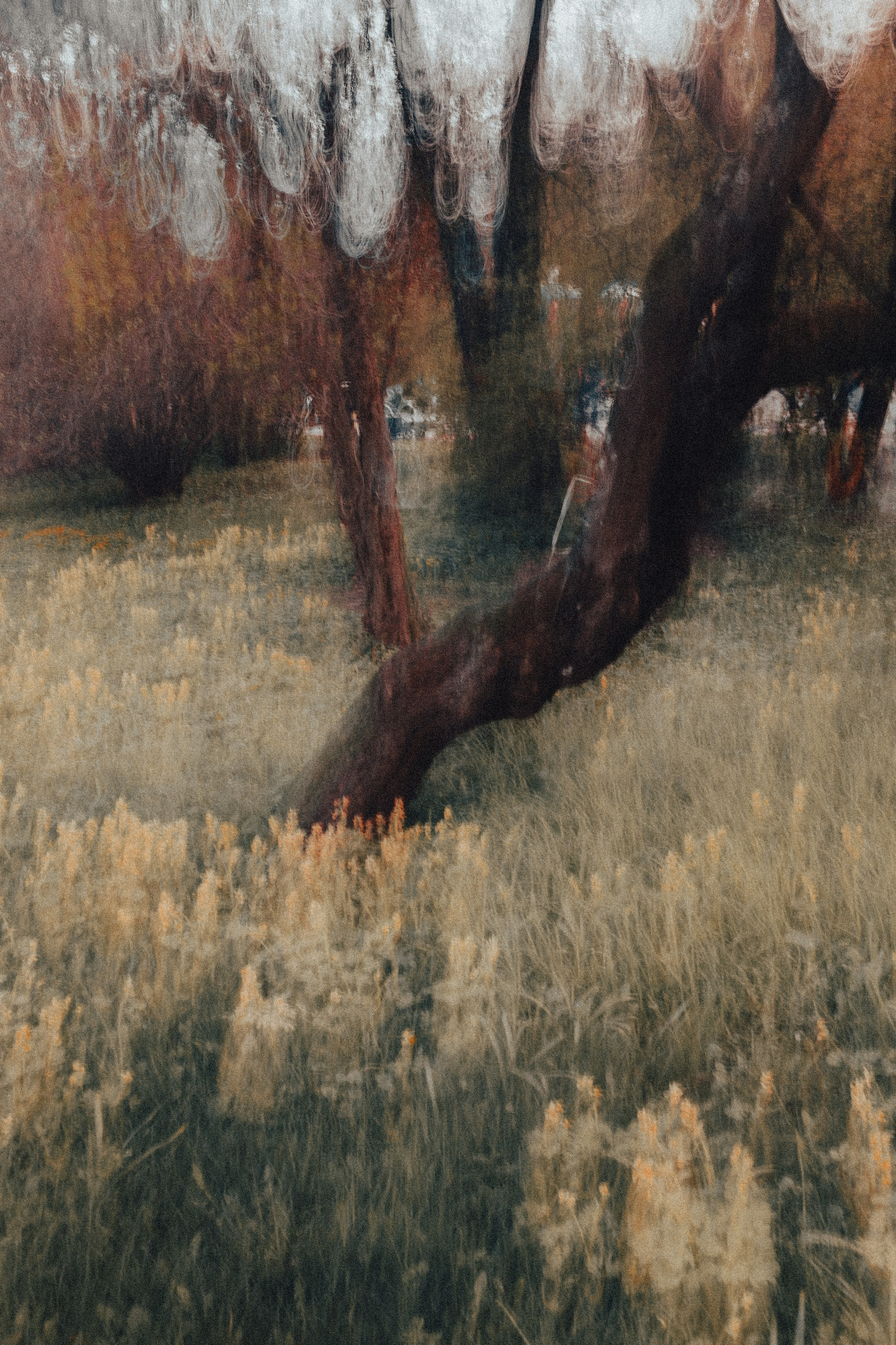 Memories. Photo project