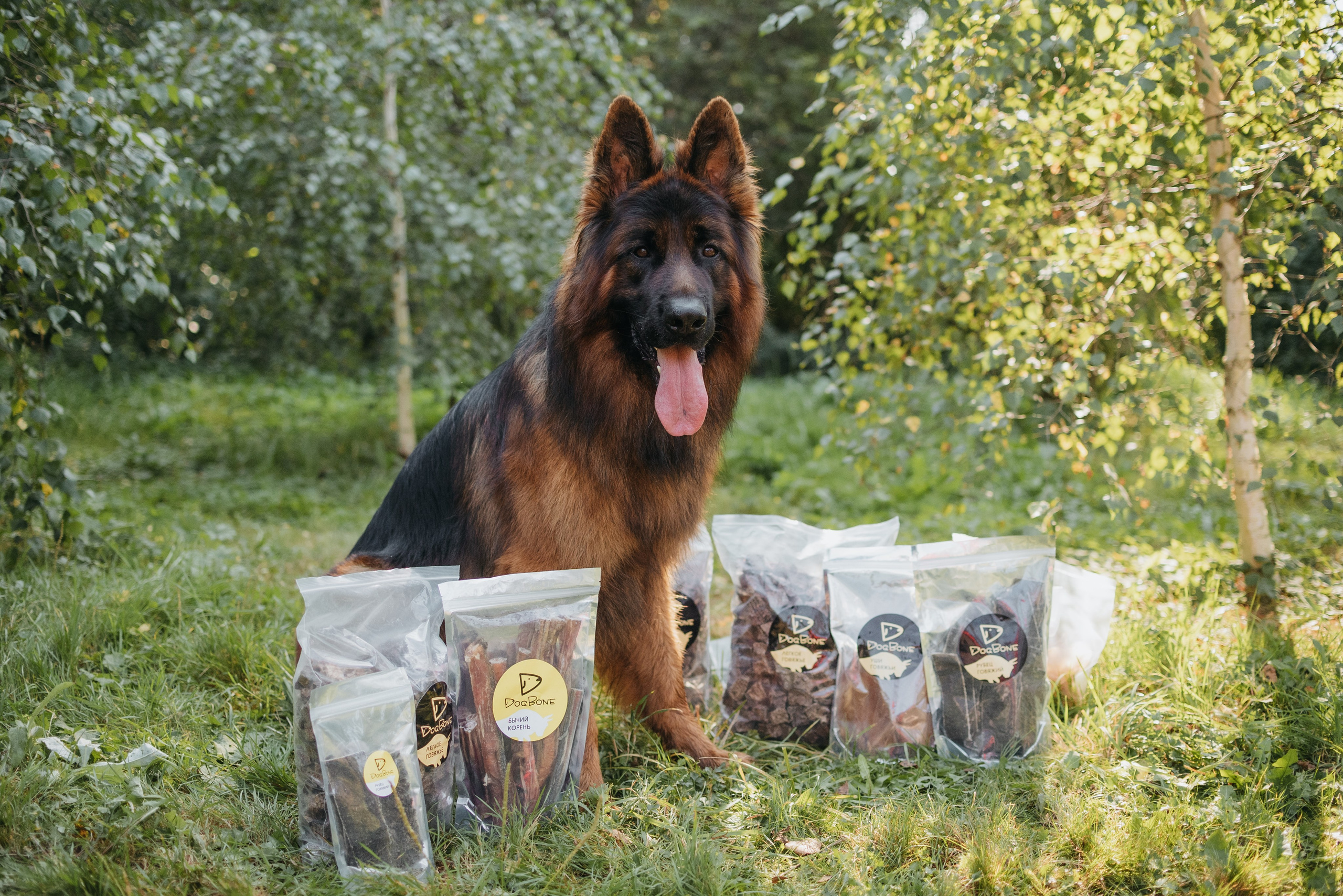 Dog Bone контент. Фотограф-анималист Валерия, Москва, Мытищи