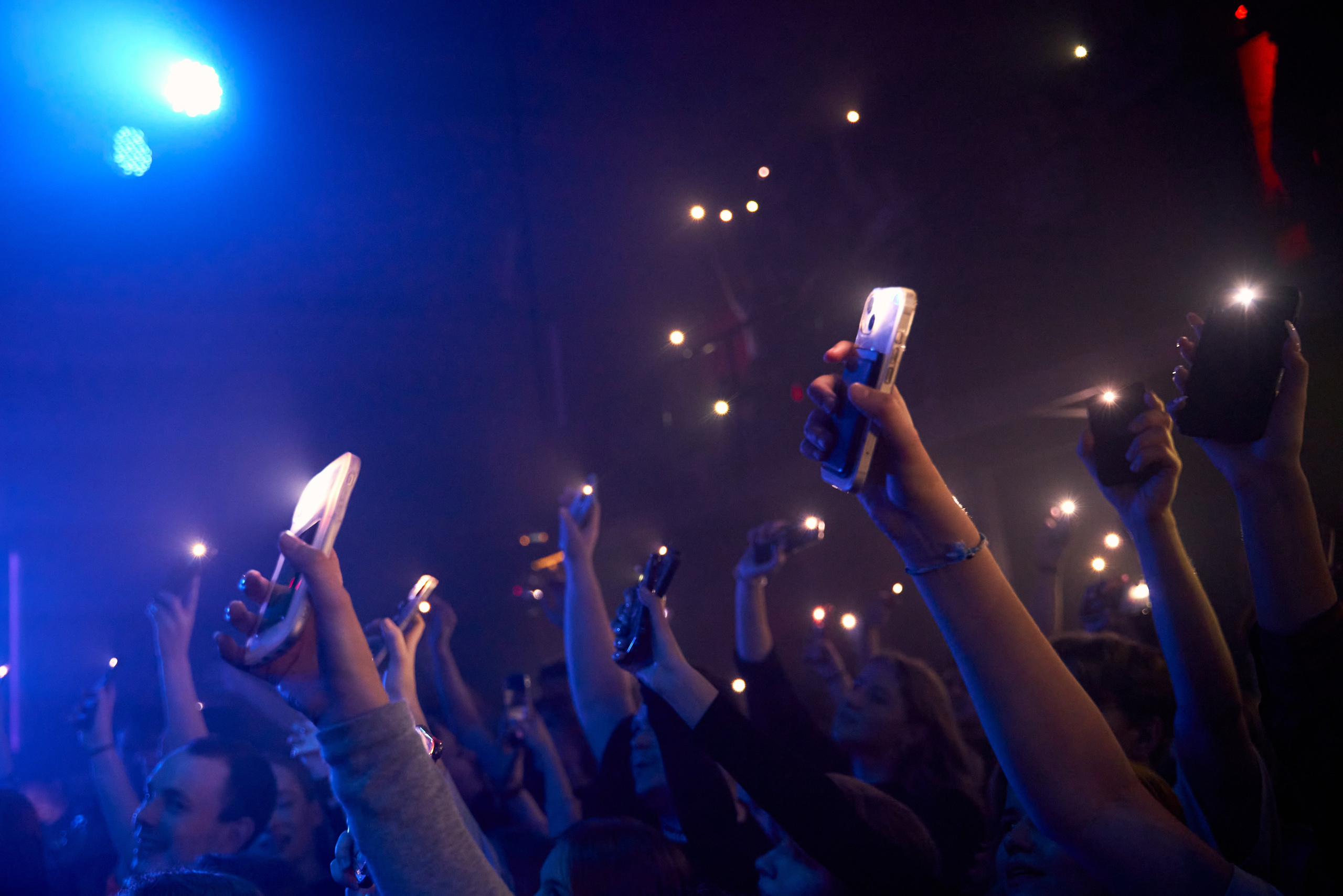 Форест Фаер, Санкт-Петербург, Ласточка. 13 апреля 2024. Лена Монахова — портретный и концертный фотограф в Санкт-Петербурге