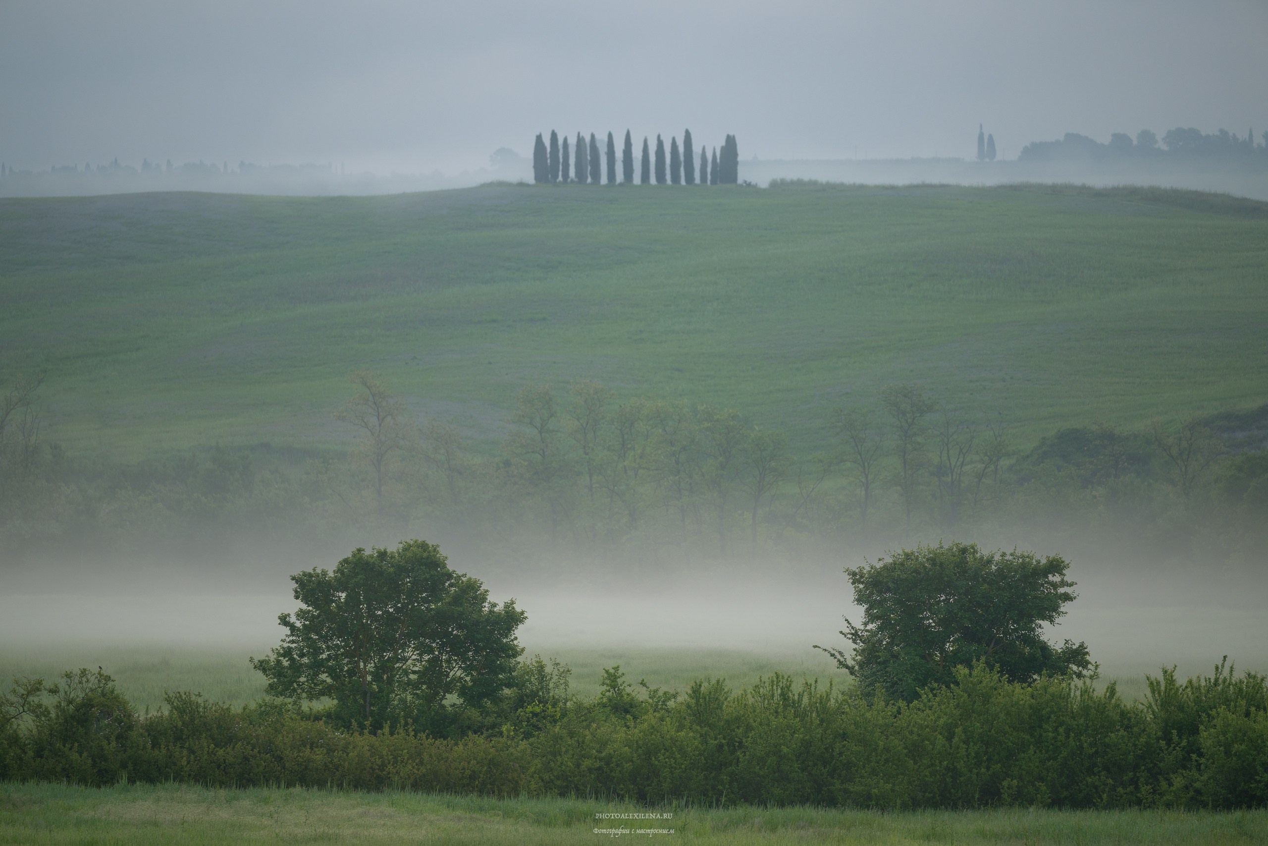 Великолепная Тоскана. Авторские стильные фотокартины