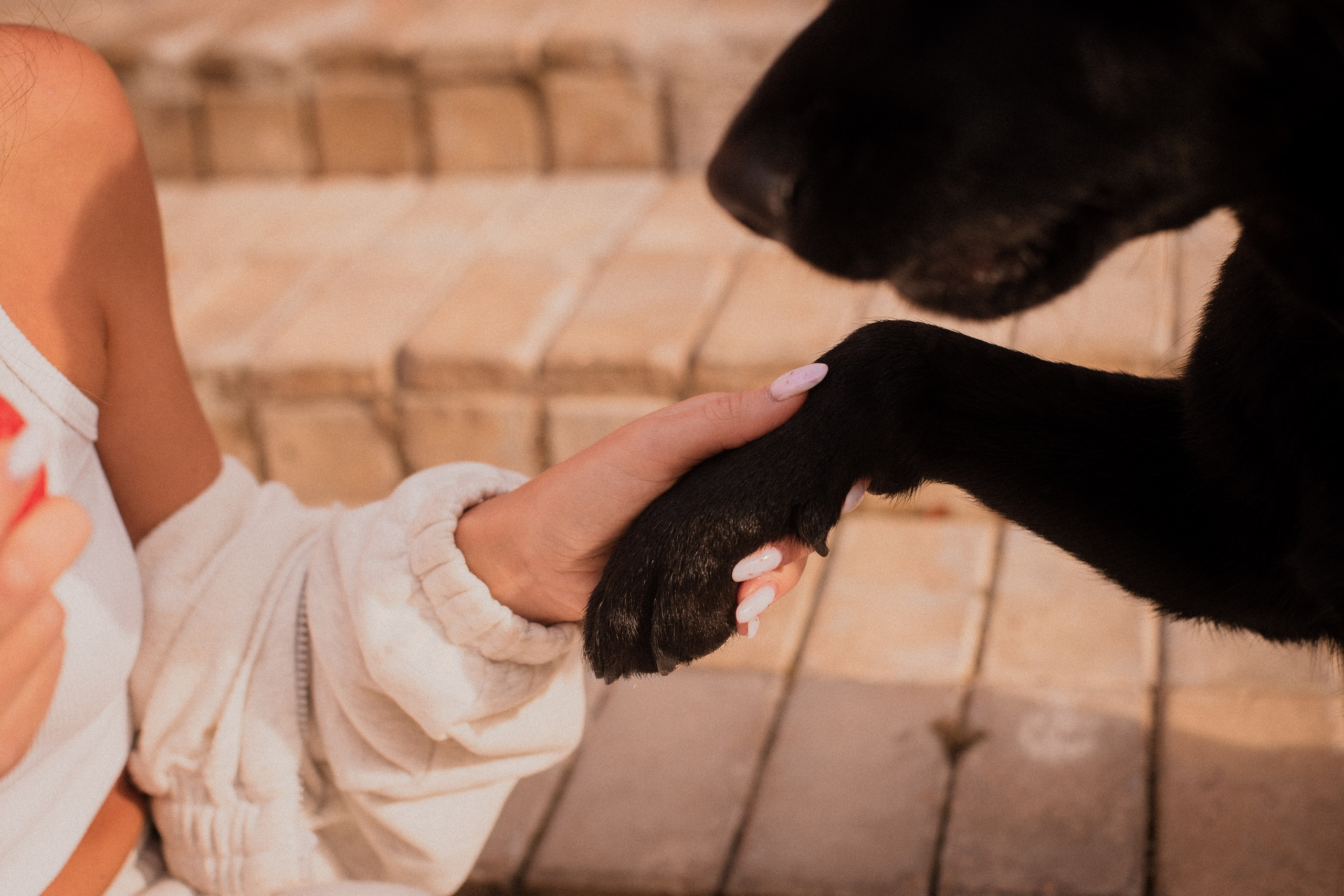 Анна и Лаки. Фотограф-анималист Мария Баркевич | Москва