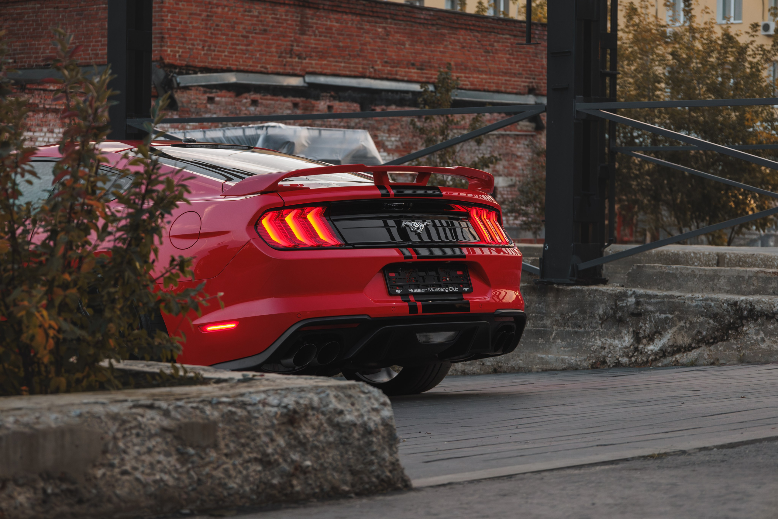 Mustang. Мелехов Дмитрий|Фотограф|Видеограф