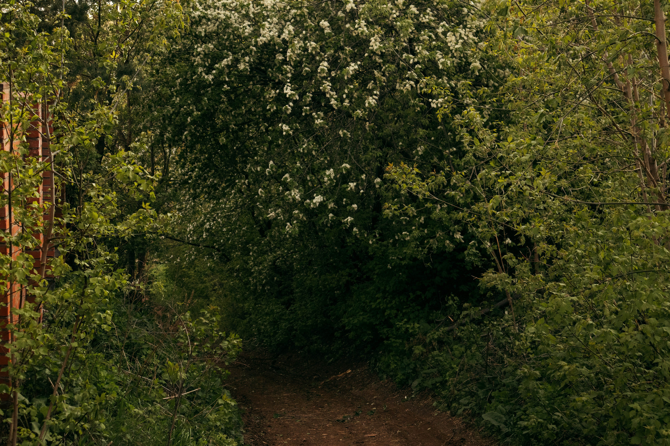 Сокольская гора. Фотограф и видеограф в Бугульме Аня Трутнева