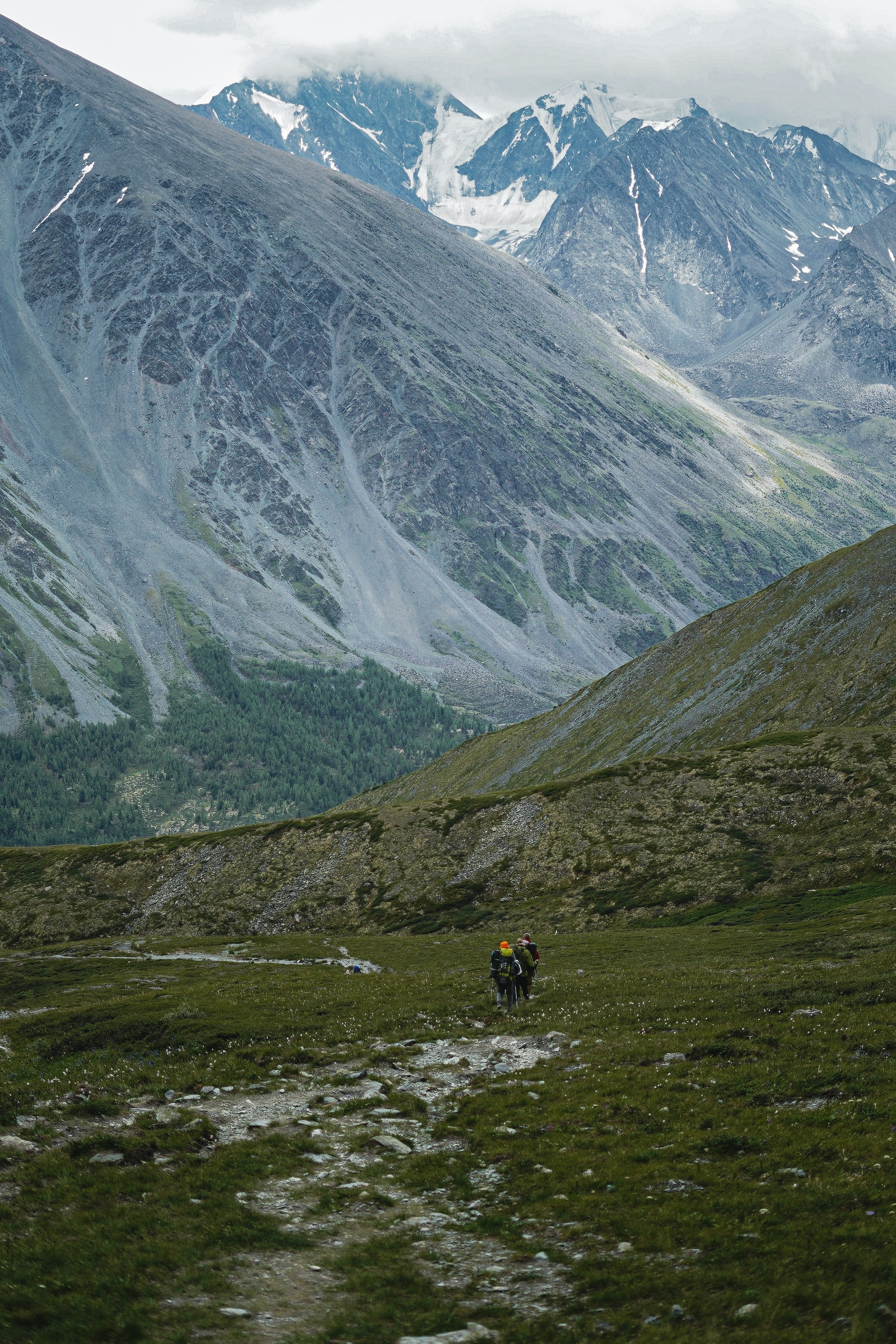 Алтай, поход к Белухе 2023. Фотограф Ольга Пучкова