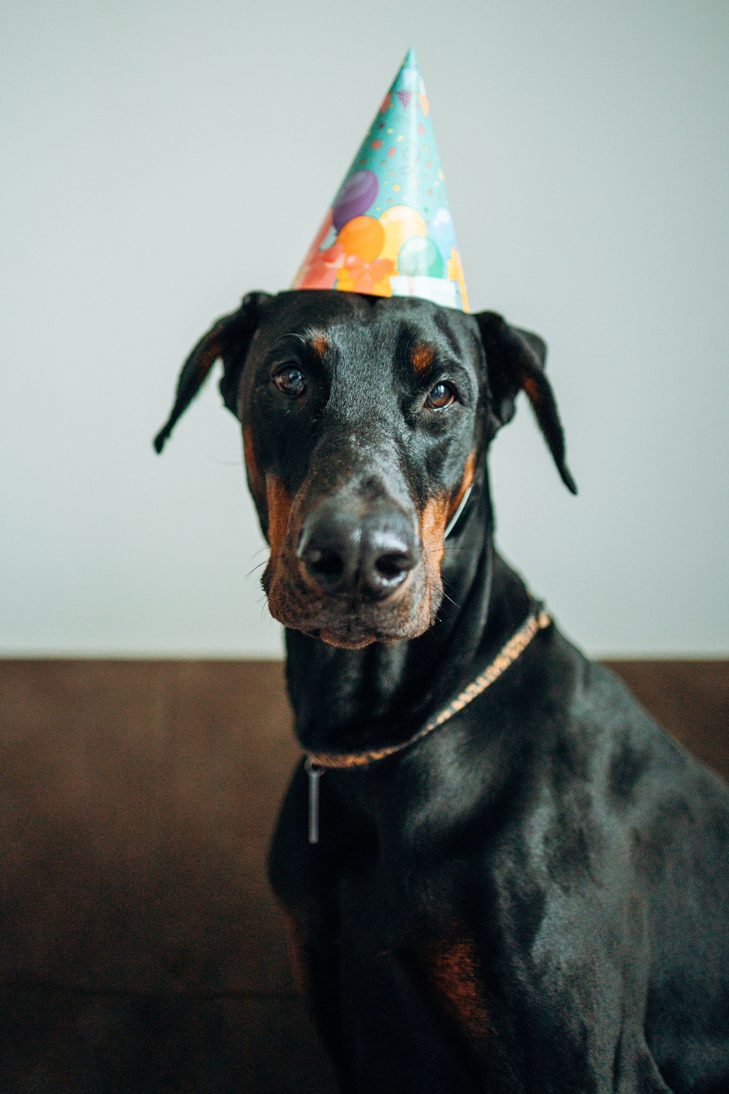 Катя и Конор