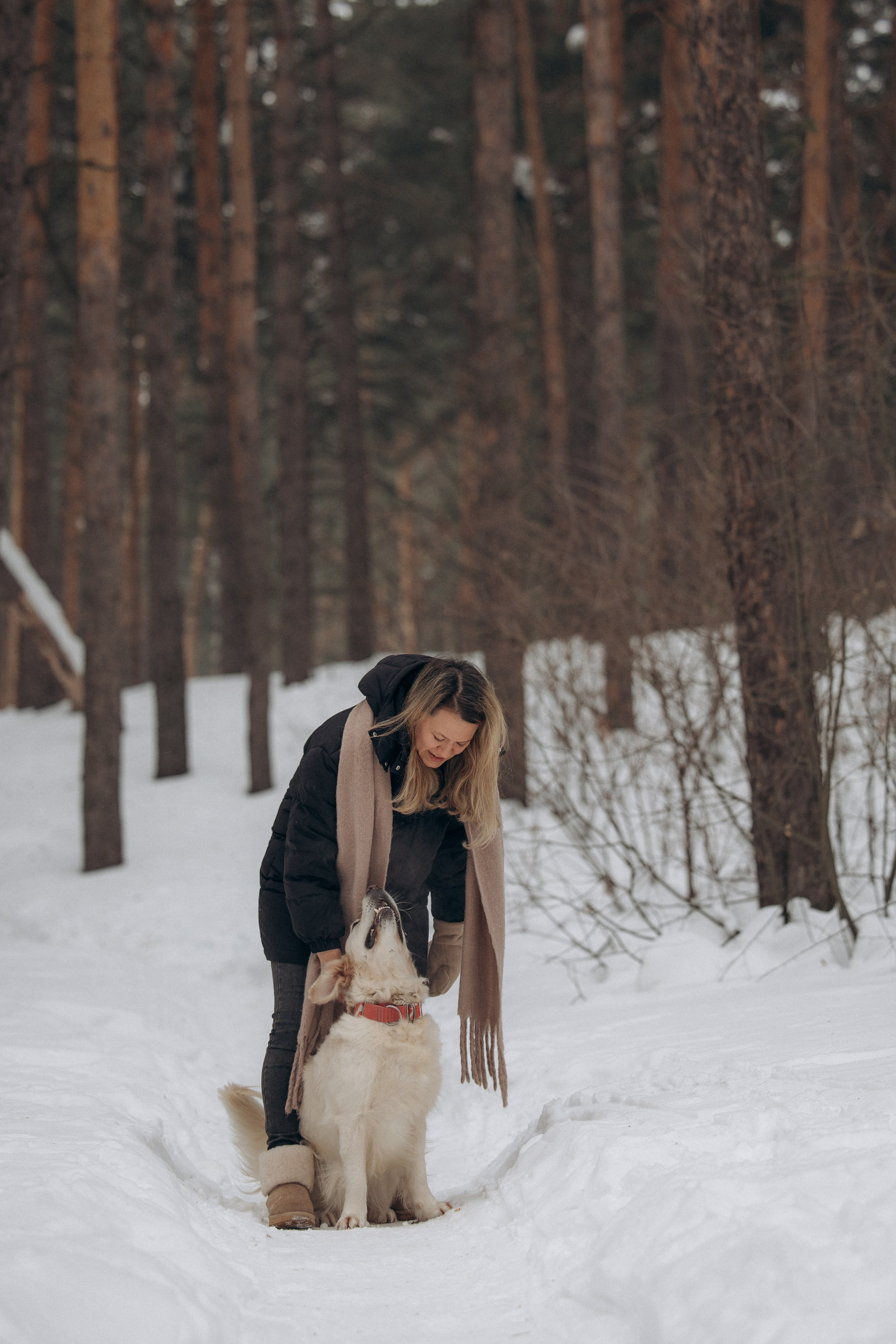 Зима. Лес. Татьяна и Делла. Фотограф анималист в Казани Алина Сулейманова. Фотограф животных