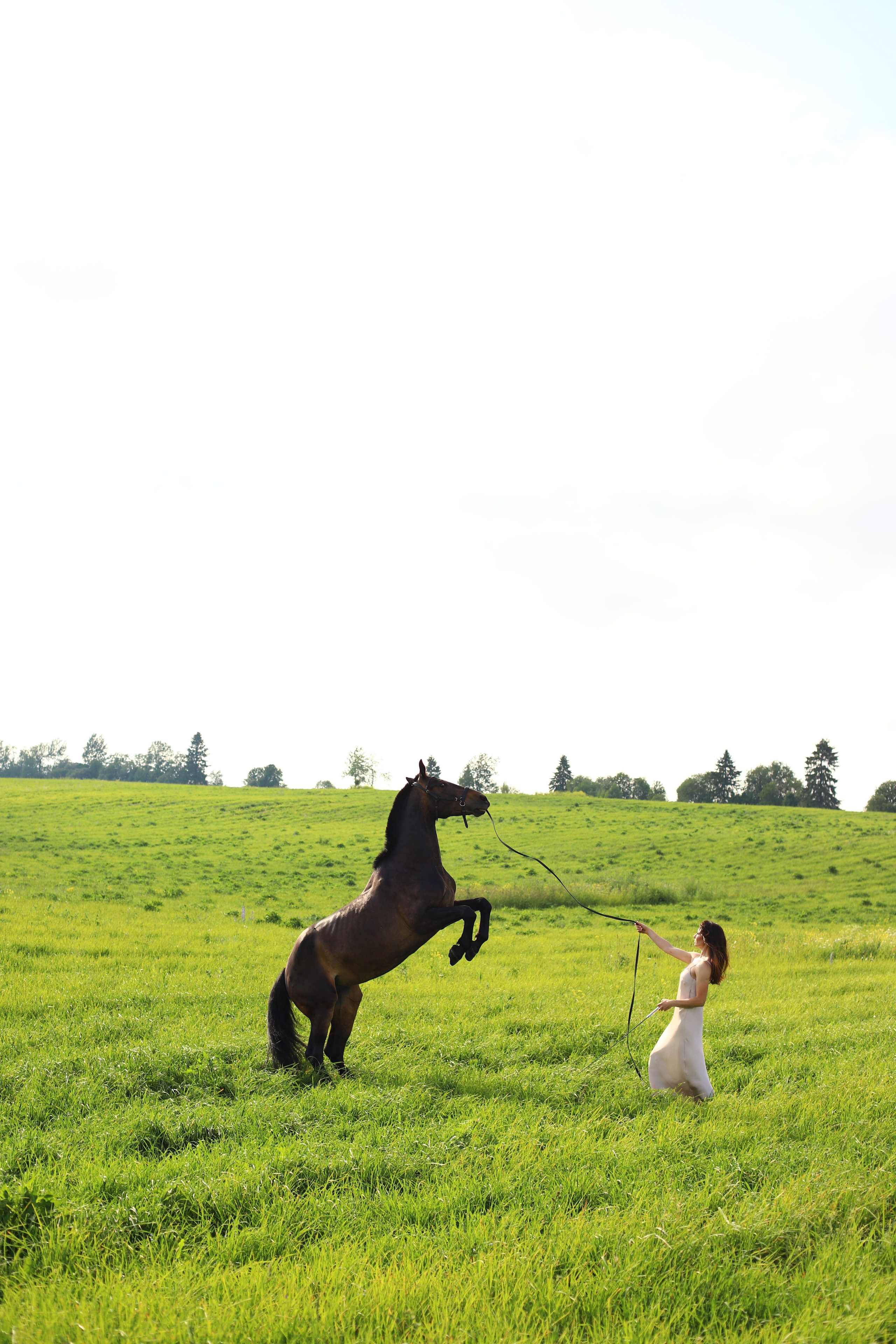 Обработка. Фотограф в Санкт-Петербурге Александра Юн
