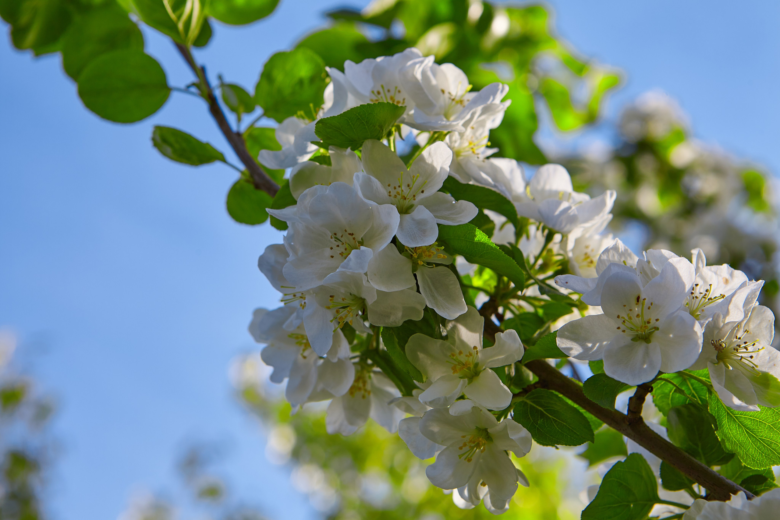 Фотографии природы