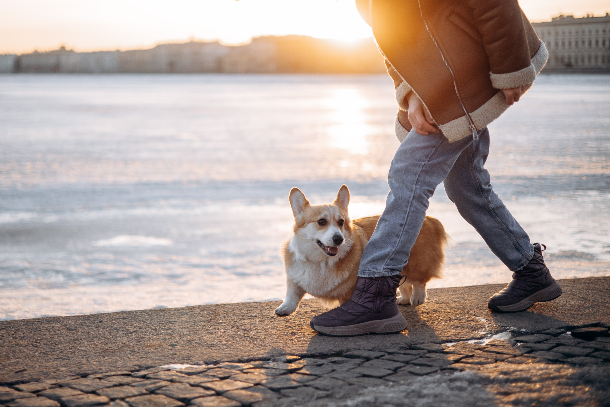 Настя и Ева. Фотограф — Анималист | Санкт-Петербург