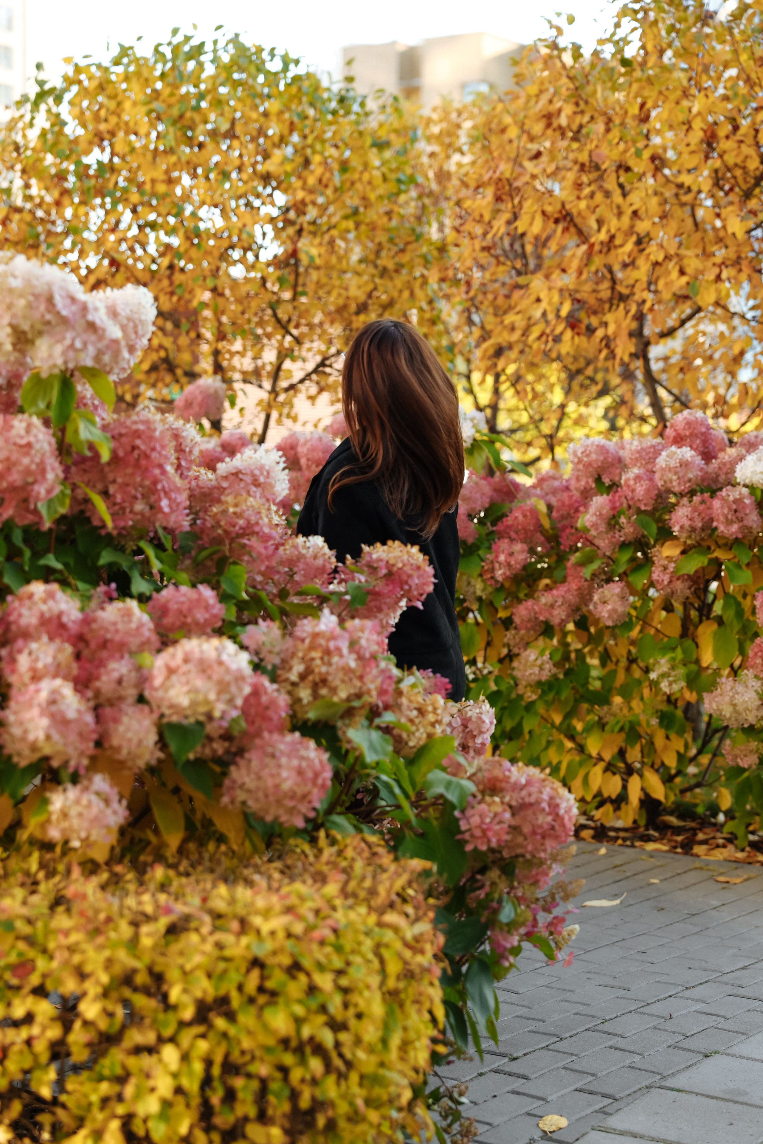 Элизабет. Свадебный и семейный фотограф Анна Печенкина