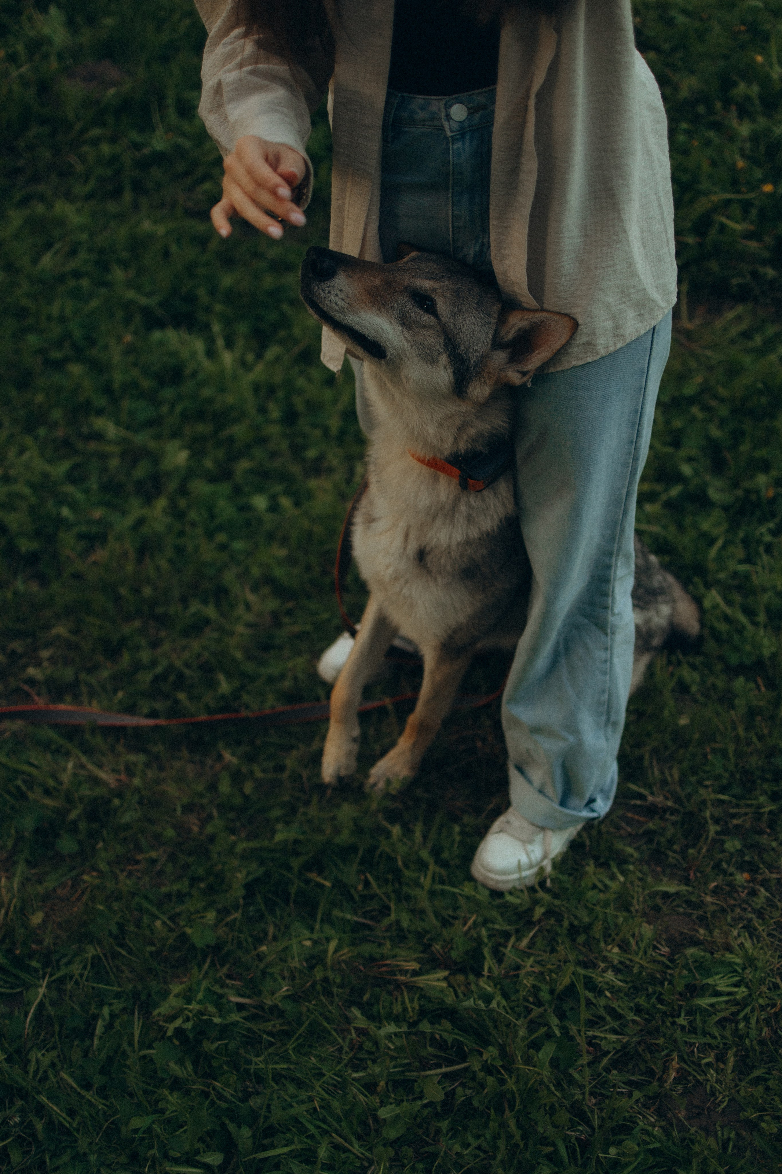 Аня и ее семья. Фотораф — анималист Мария Шистка