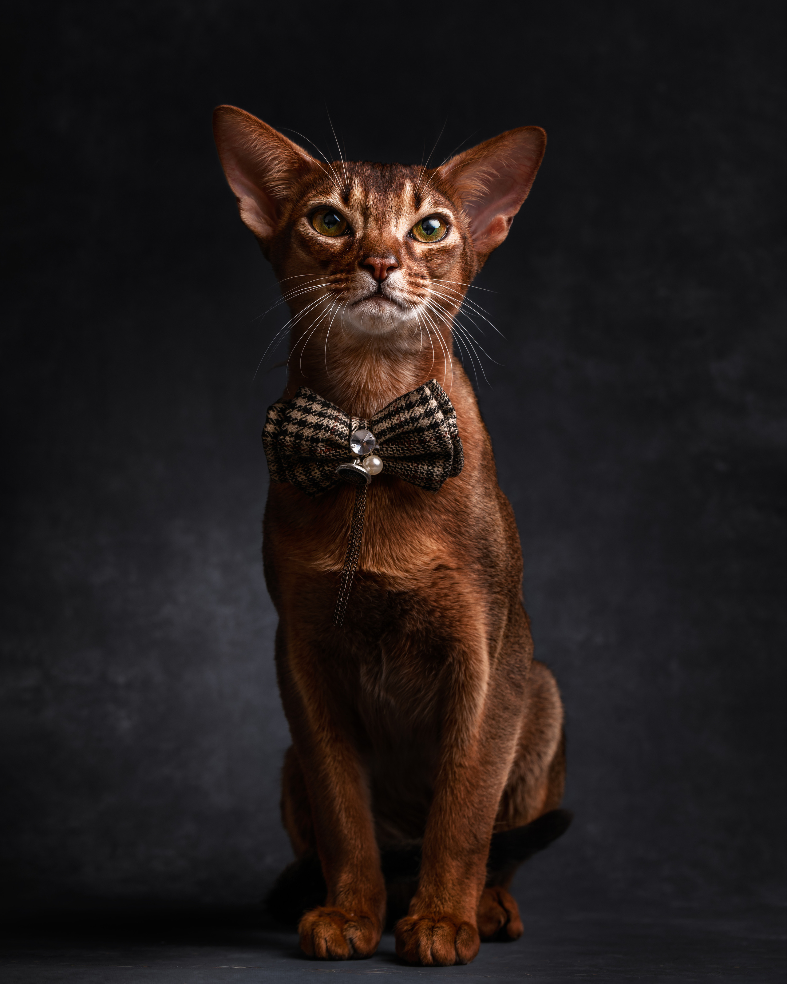 Fine Art Portrait Photography