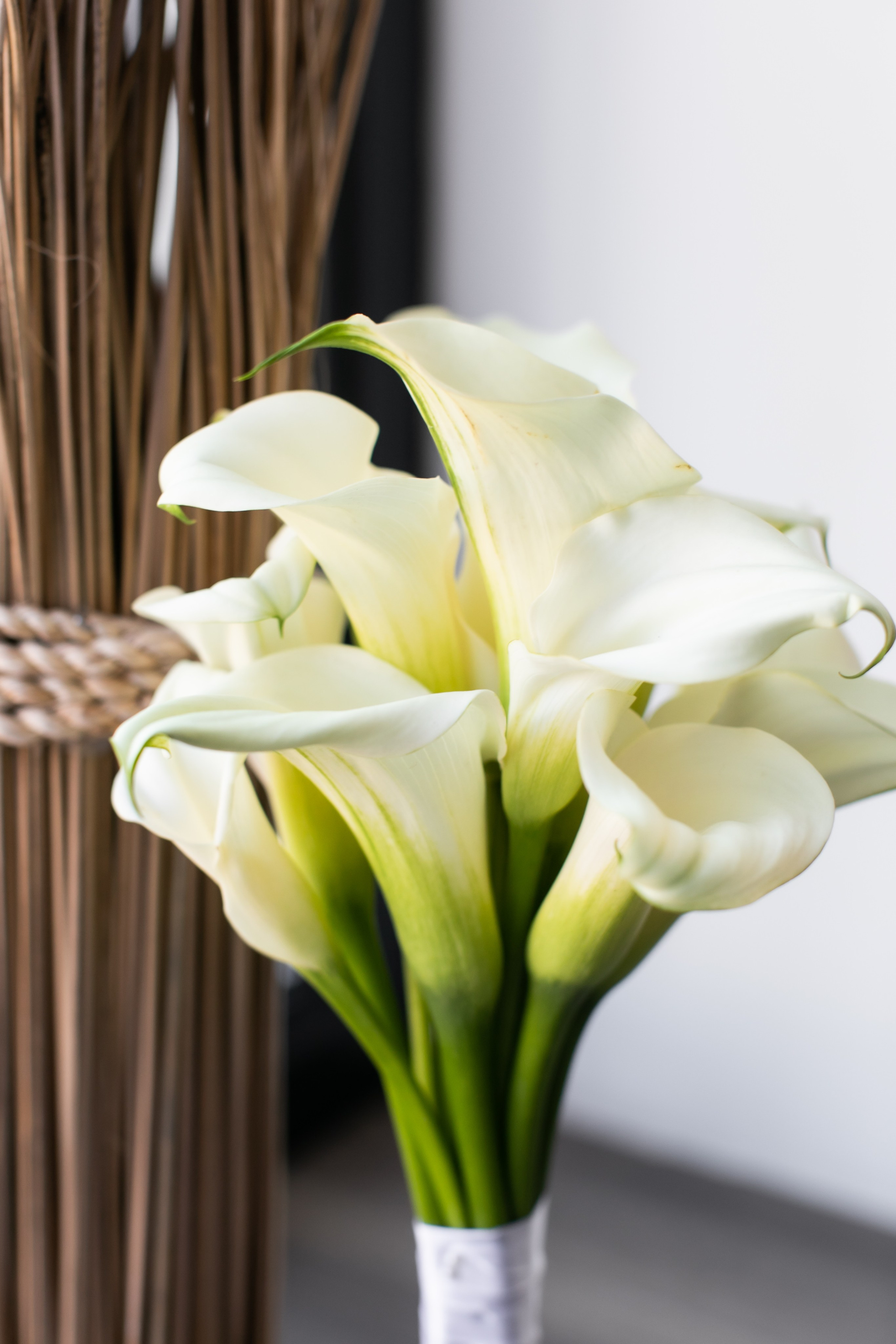 Свадебная съёмка С. и М. Брук Артём