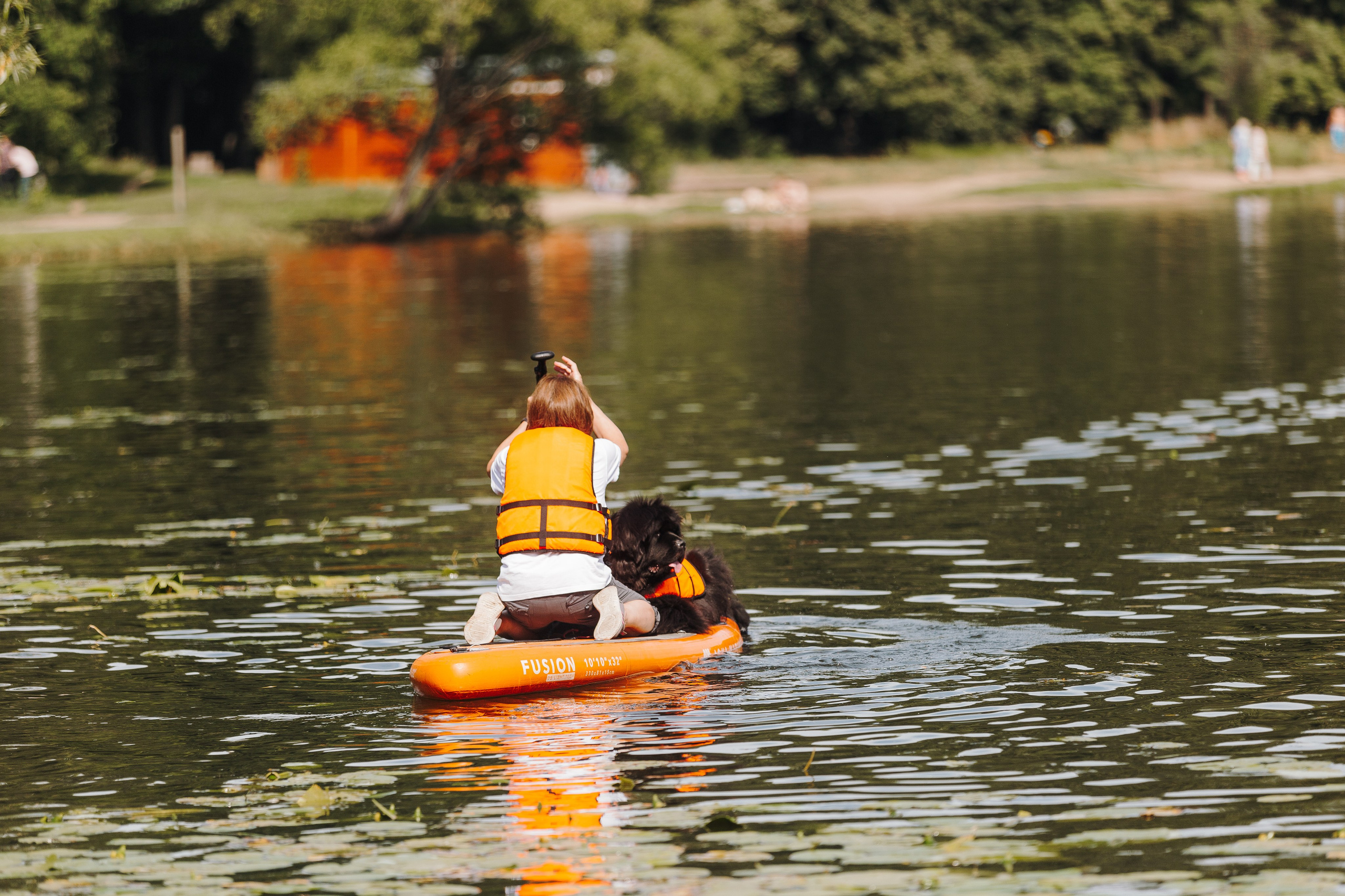 Petshop Sup day. Фотограф анималист Кристина Карпова, Москва