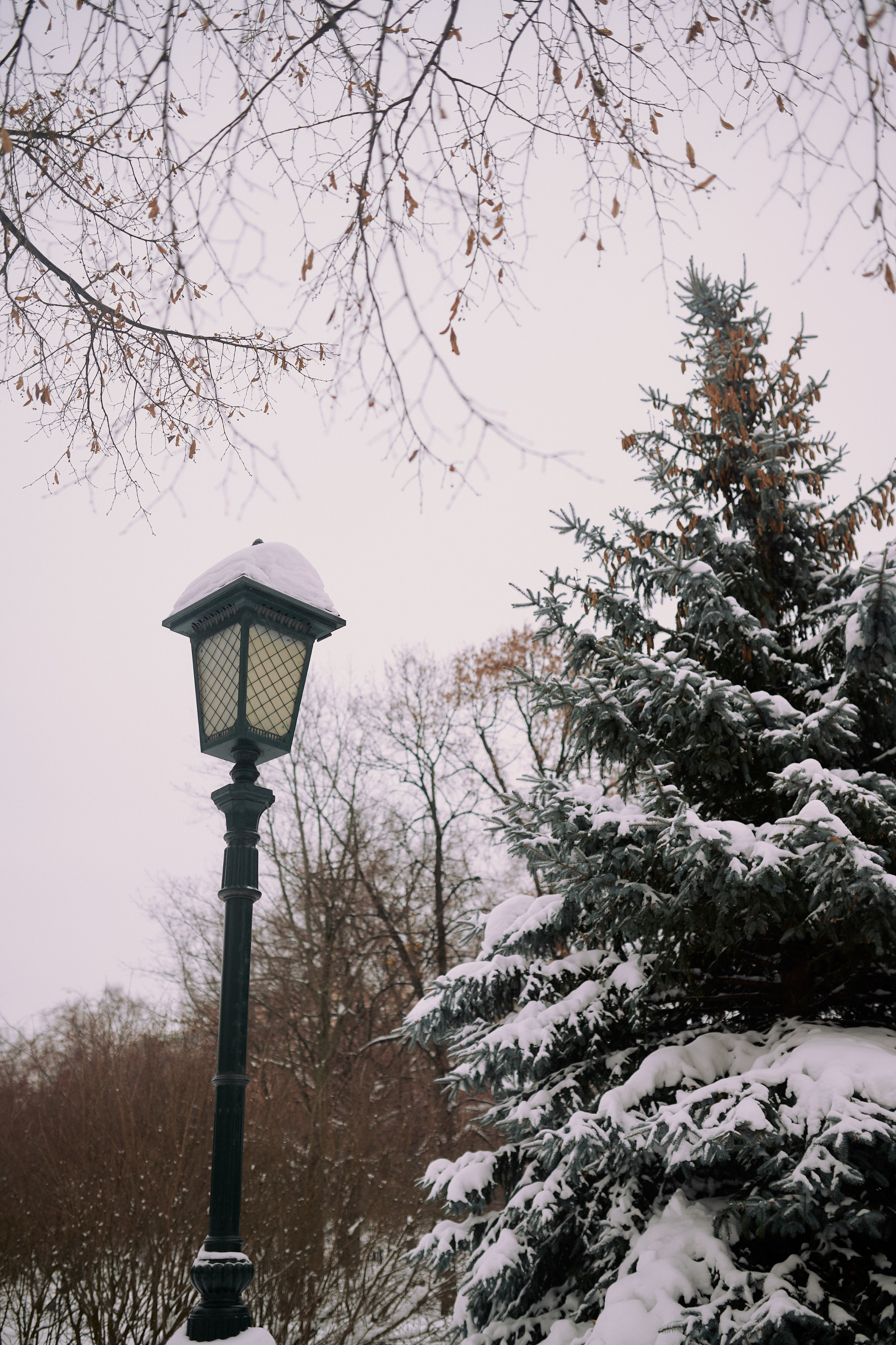 Шубх и Лиза. Семейный и свадебный lifestyle-фотограф в Москве Мария Петрова