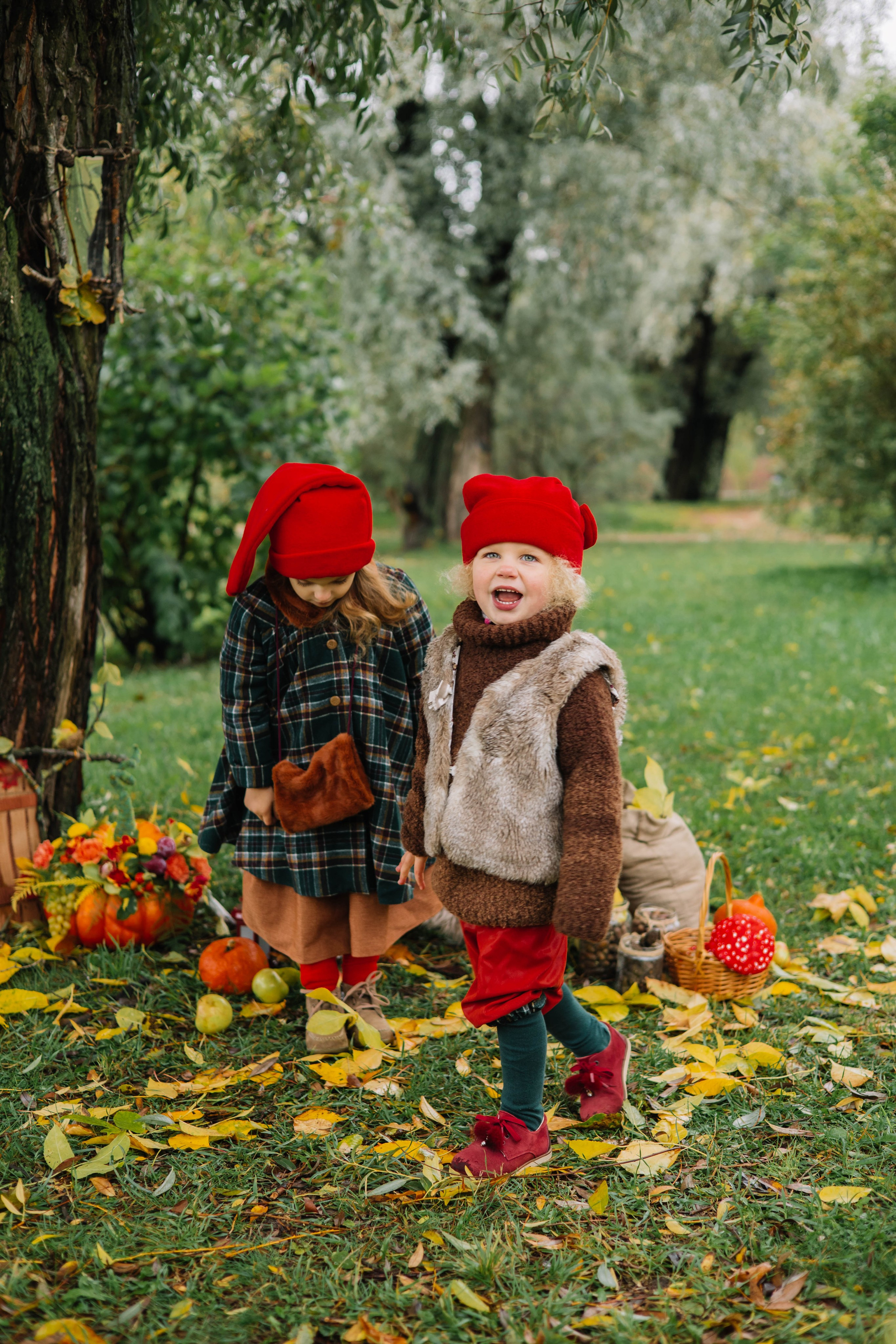 Гномики. Фотография с любовью от Людмилы Луценко