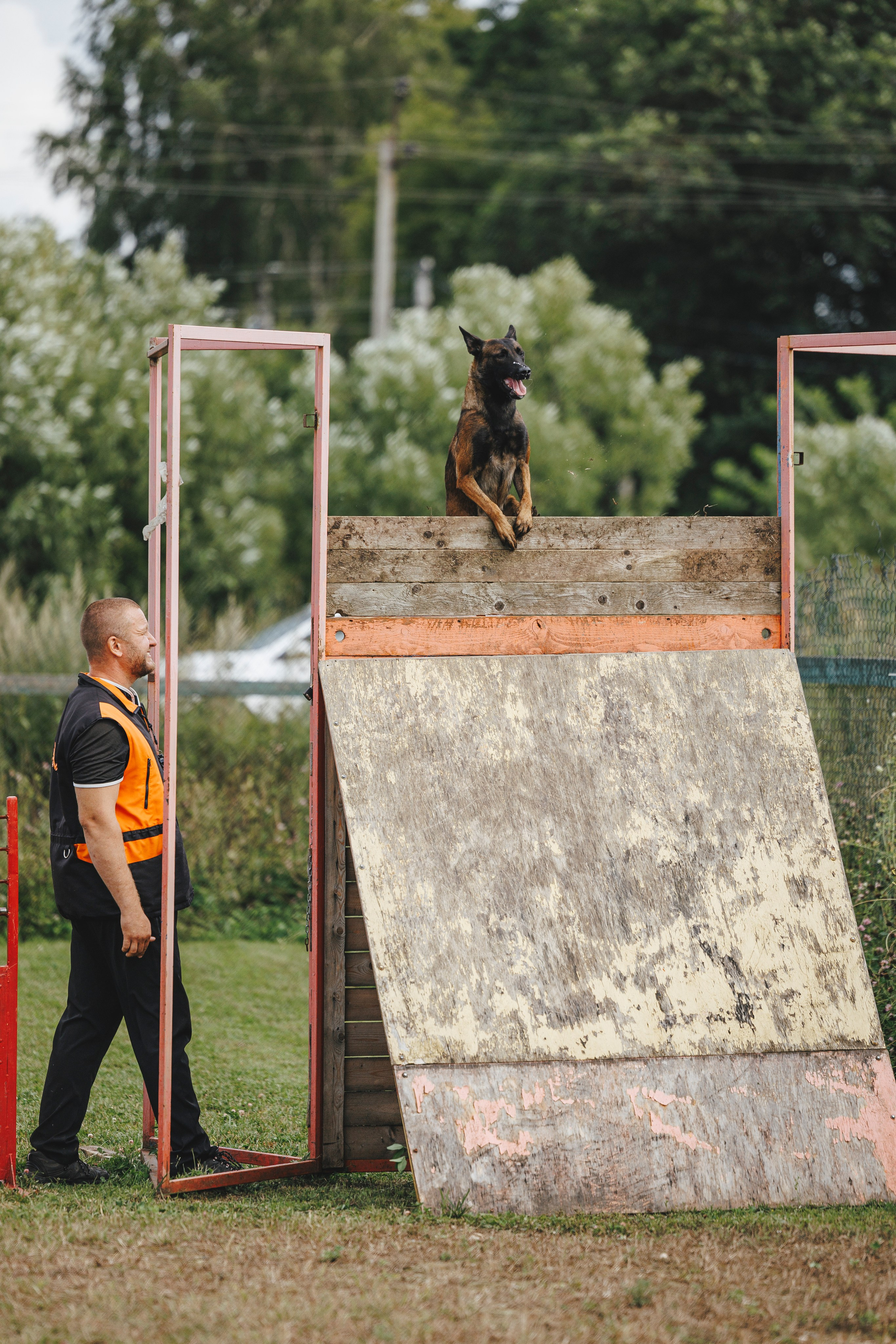08.08.25-10.08.25 ЧР по мондьорингу г. Вологда. Фотограф-анималист Анна Маринич