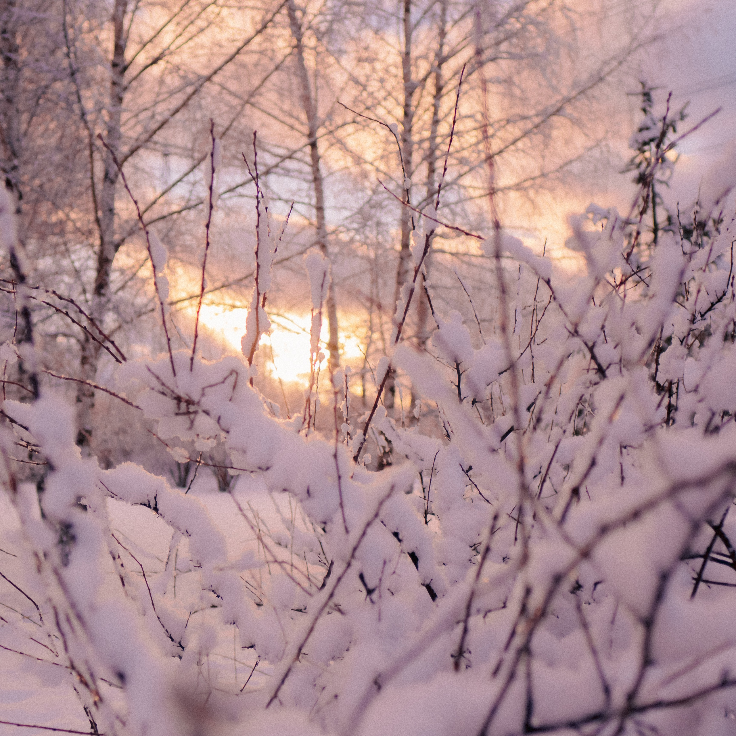 Зимняя сказка. Фёдор Малюгин. Ваш бади в визуале