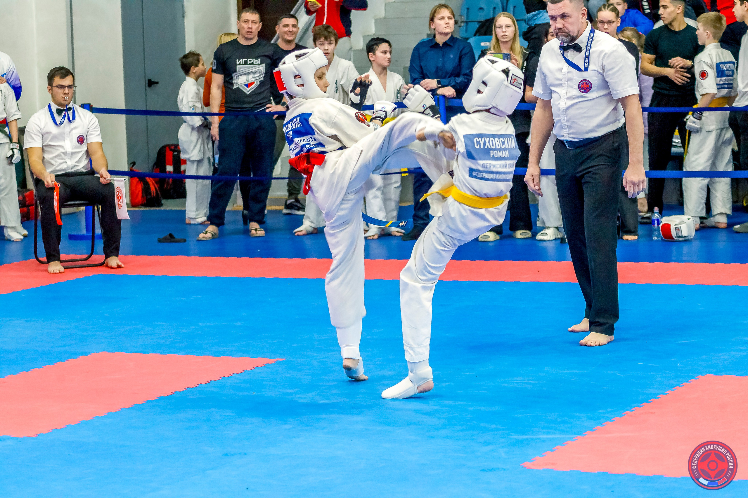 Международный турнир по киокушин «Открытый кубок Seiken». Репортажная съемка в Москве и области. Анималистика