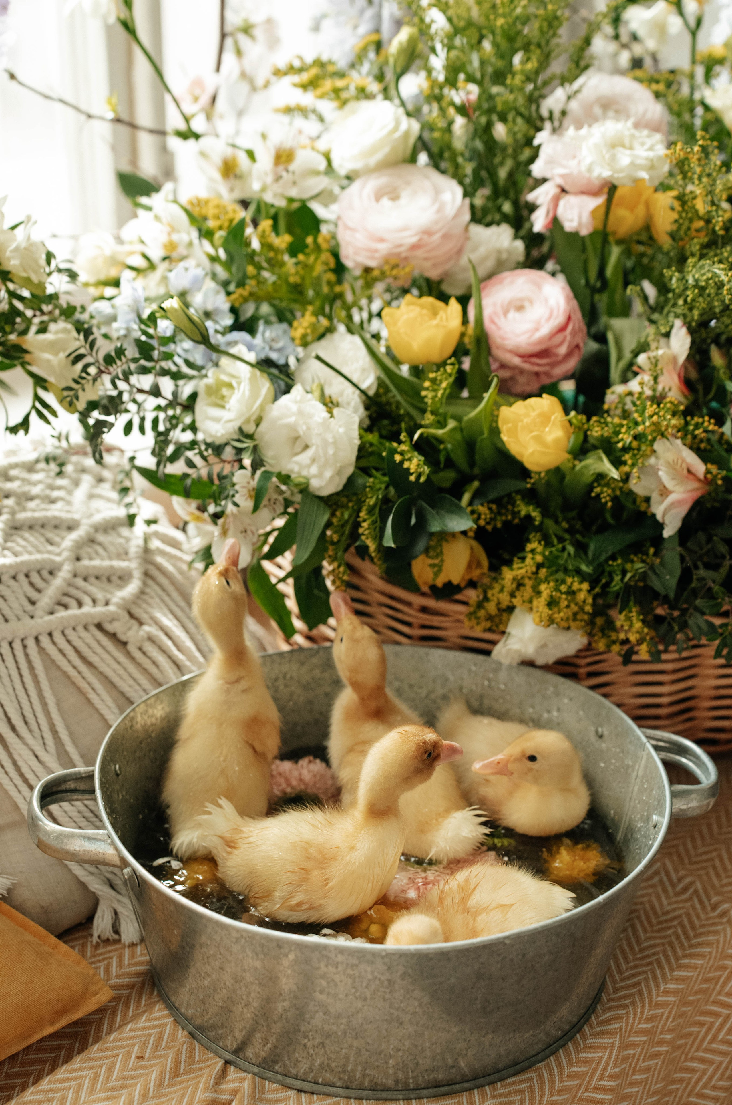 Утята). Свадебный фотограф Москва Александра Аверкова