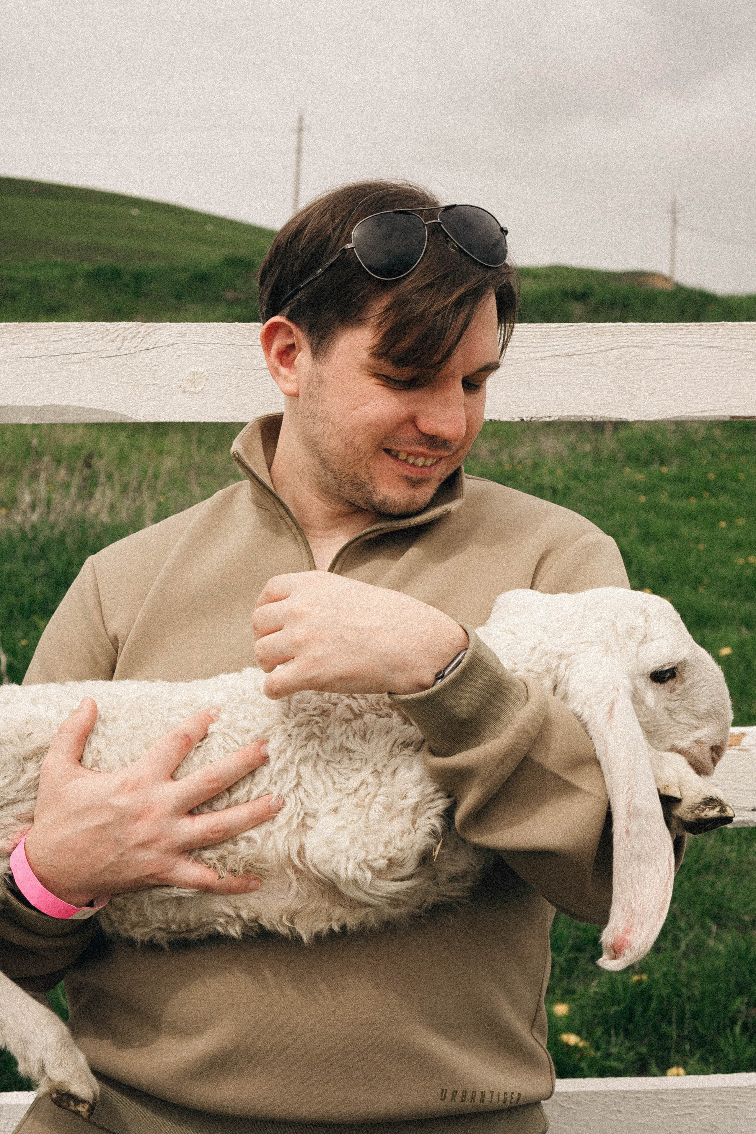Ферма Альпак. Профессиональный фотограф, Санкт-Петербург — Виктория Богомолова