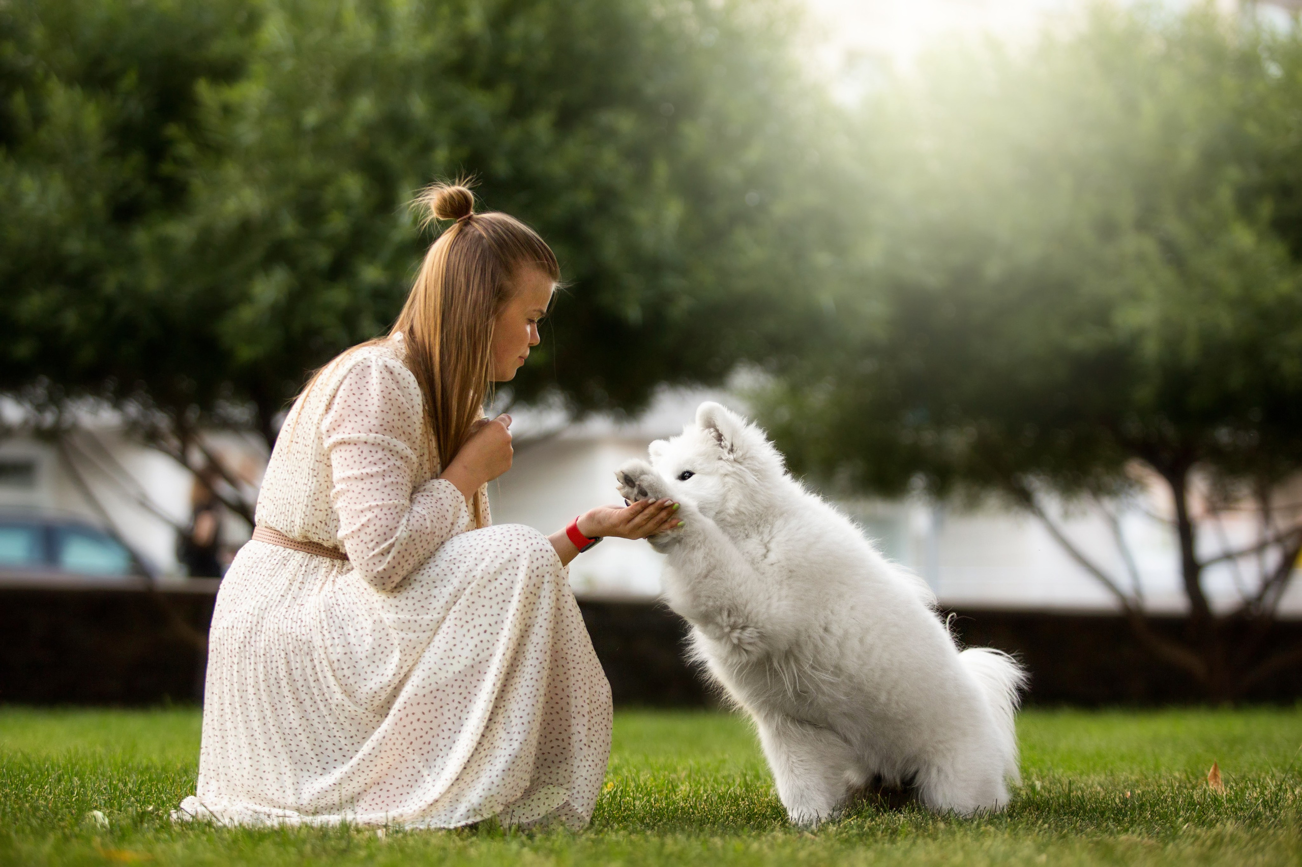 Анастасия, Евгений и самоед Ройс. Https://moshkovaphoto.ru/