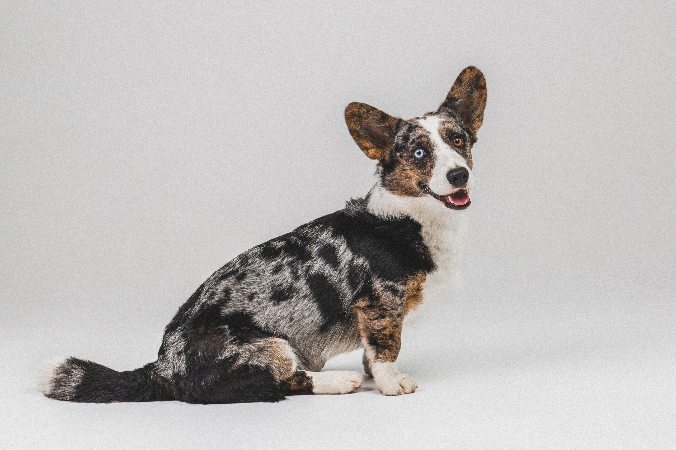 Анатолий и Рагнар