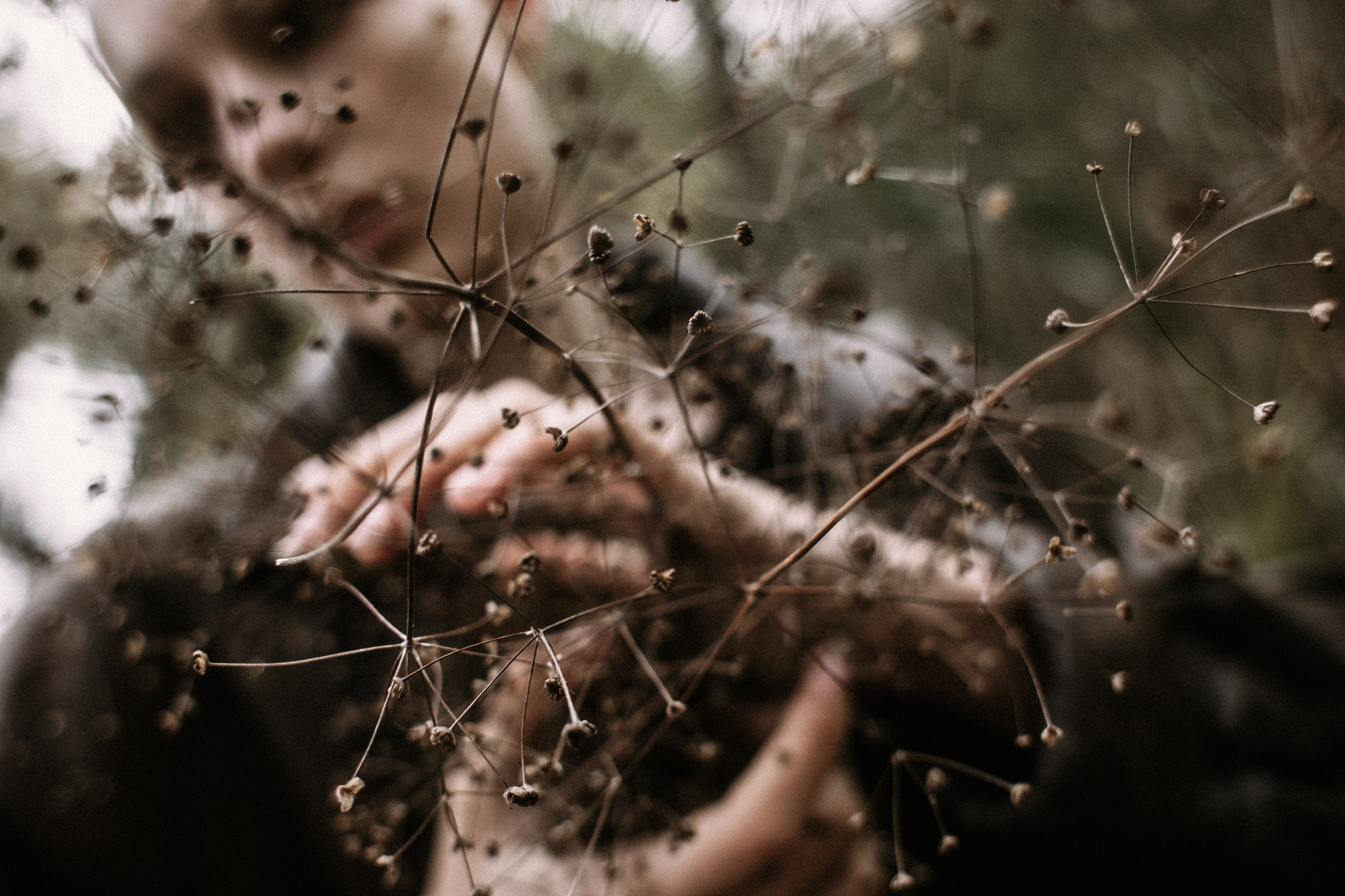 Ариадна. Фотограф в Нижнем Новгороде