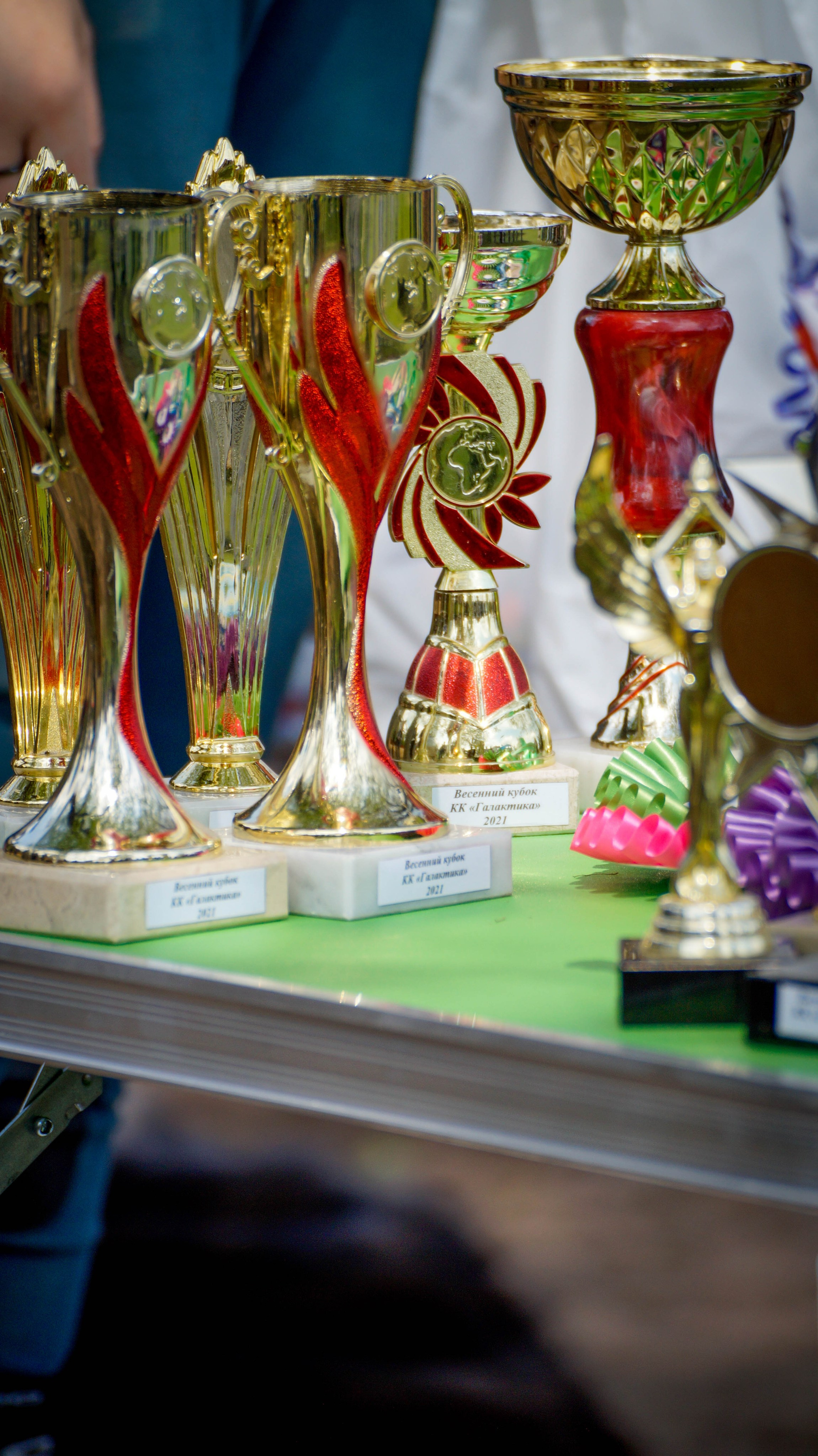 Соревнования. Фотосессии с лошадьми в Москве и МО