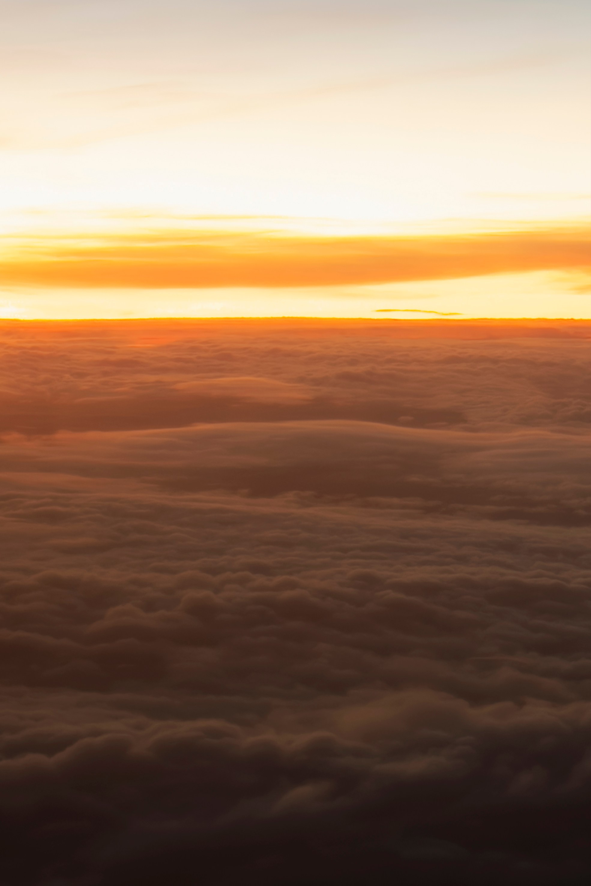 Природа. Команда фотографов Кристины Ивановой