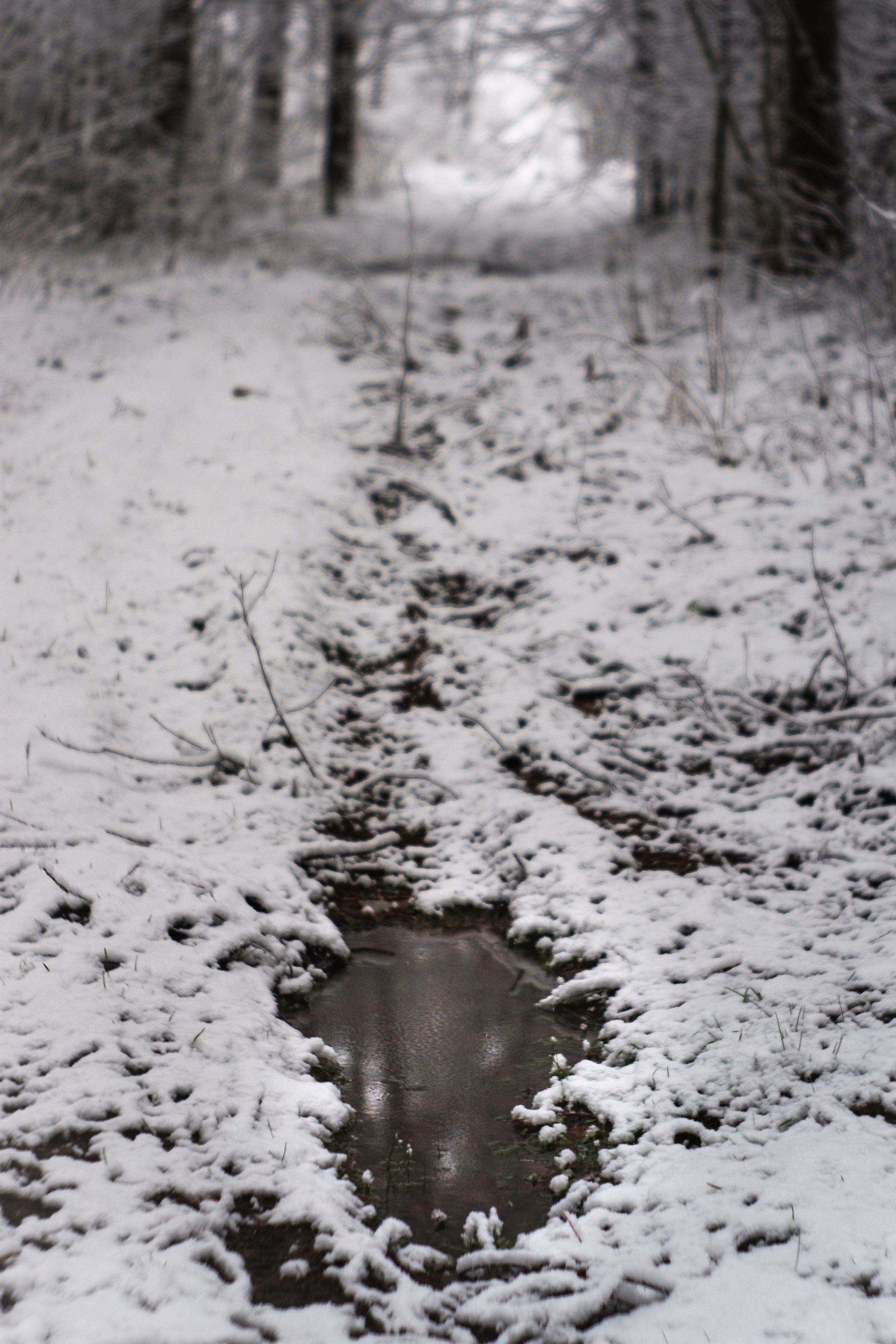 ЧБ  пейзажи (BnW landscape). Фотограф (photographer) Lischinski Vitaliy
