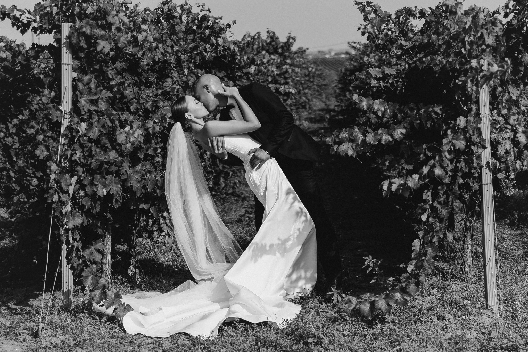 Татьяна и Алексей Golubitskoe Estate. Свадебный и семейный фотограф в Краснодаре