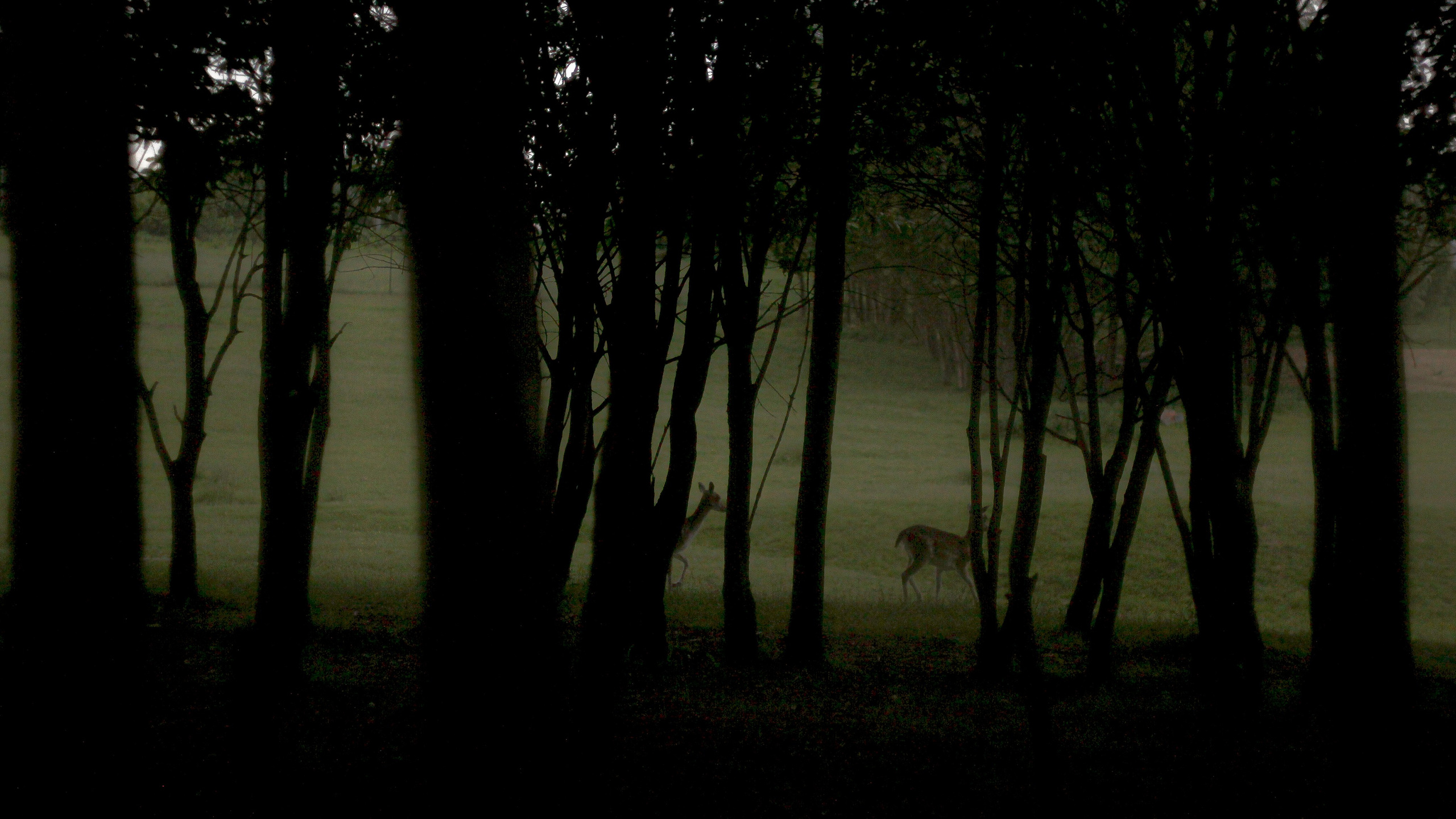 Эти волосы взял я у ржи. Портретный и художественный фотограф в Москве