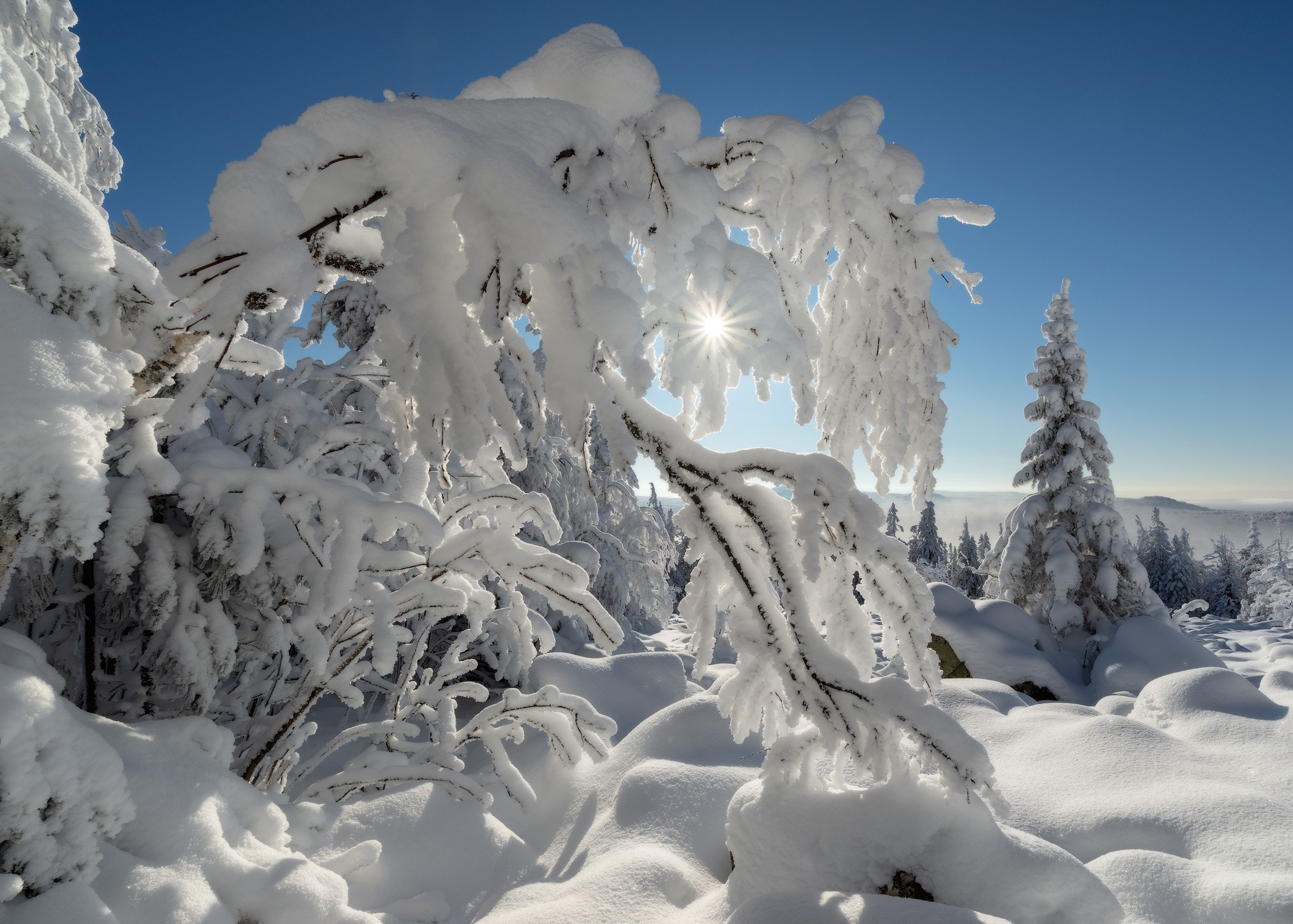 Зимний лес, мороз сковал всё вокруг, но природа Урала сохраняет свою красоту.  