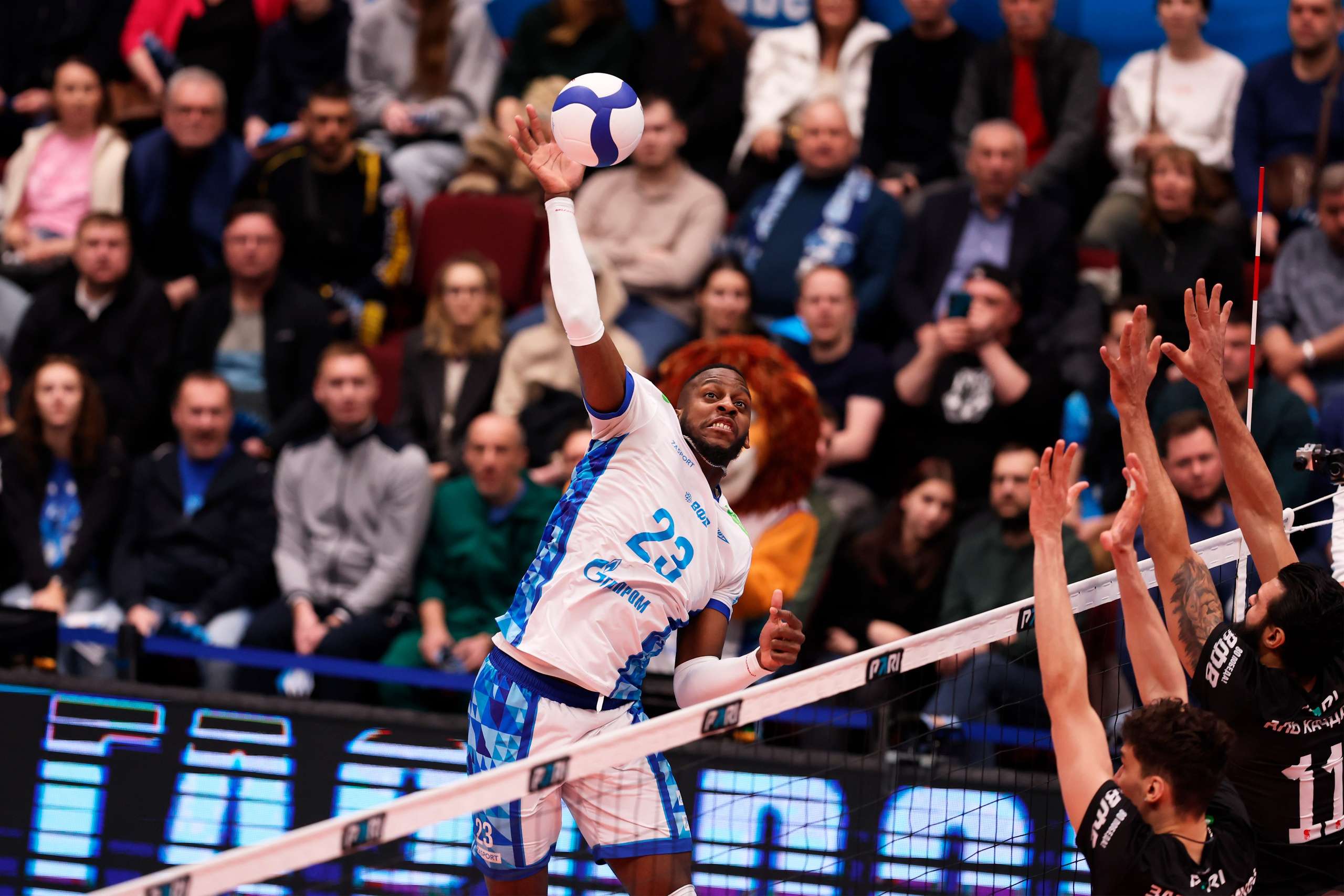 ВК Зенит — ВК Белогорье 08.04.2025. Спортивный и репортажный фотограф Антон Тереханов