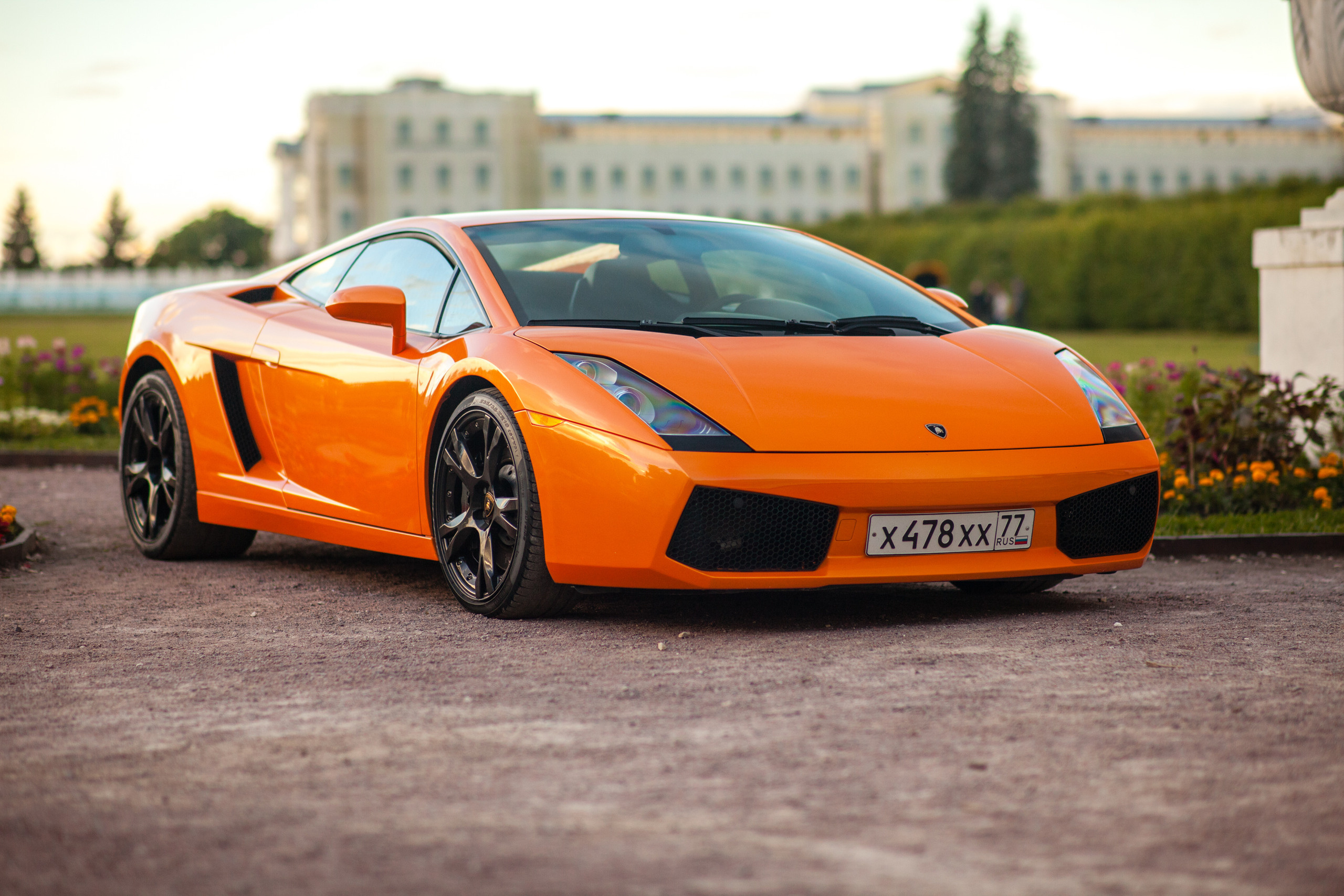 Автокультура в Архангельском