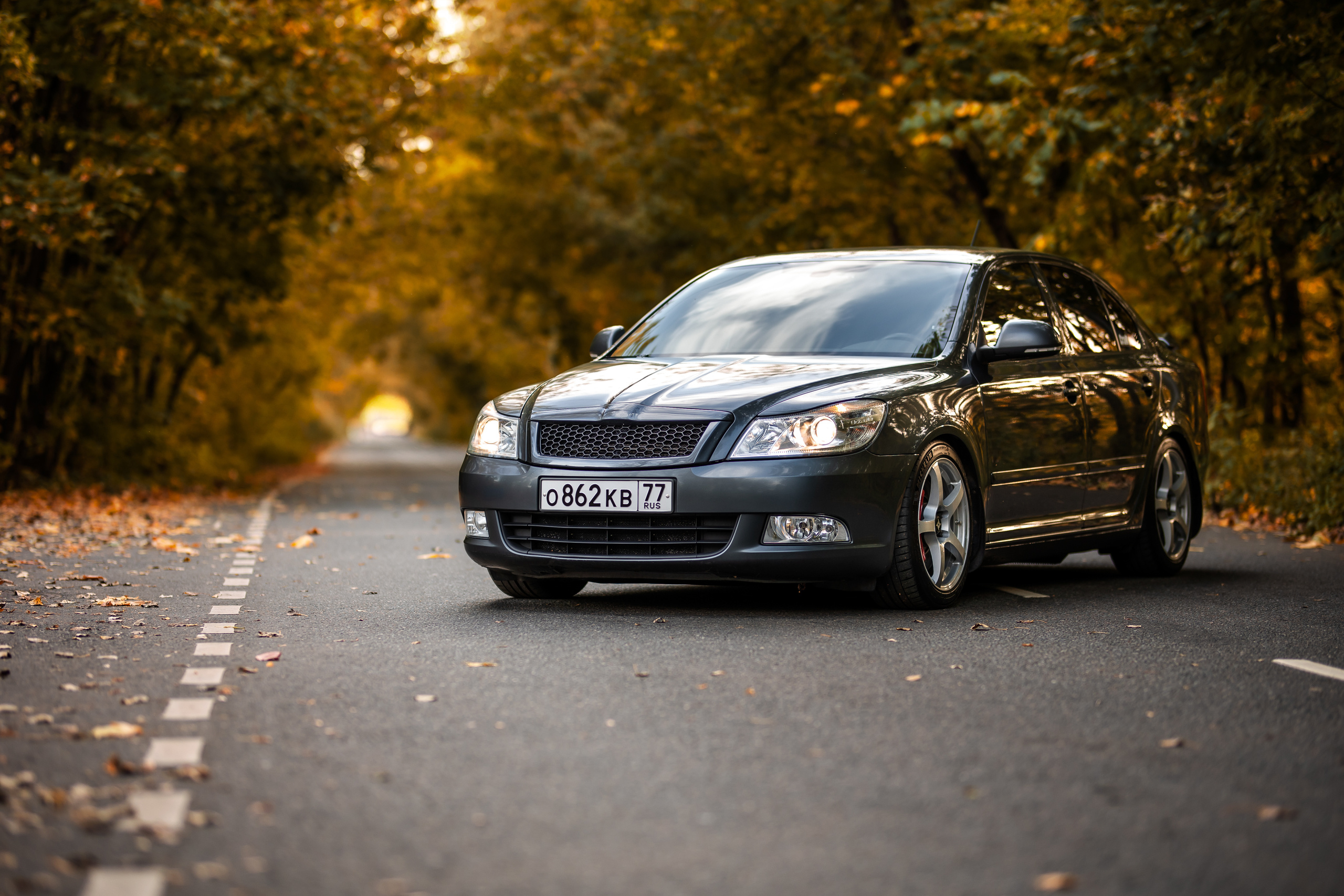 Rigshot Skoda Octavia REVO. Фотограф Сергей Лукьянов @xapeton_photo Москва