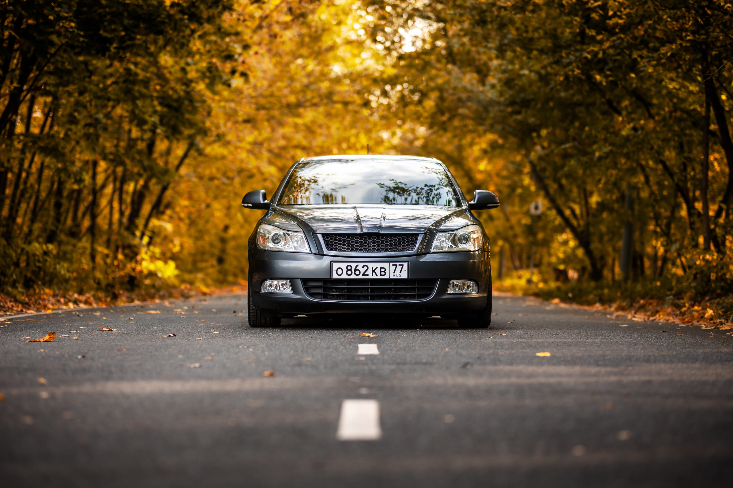 Rigshot Skoda Octavia REVO. Фотограф Сергей Лукьянов @xapeton_photo Москва