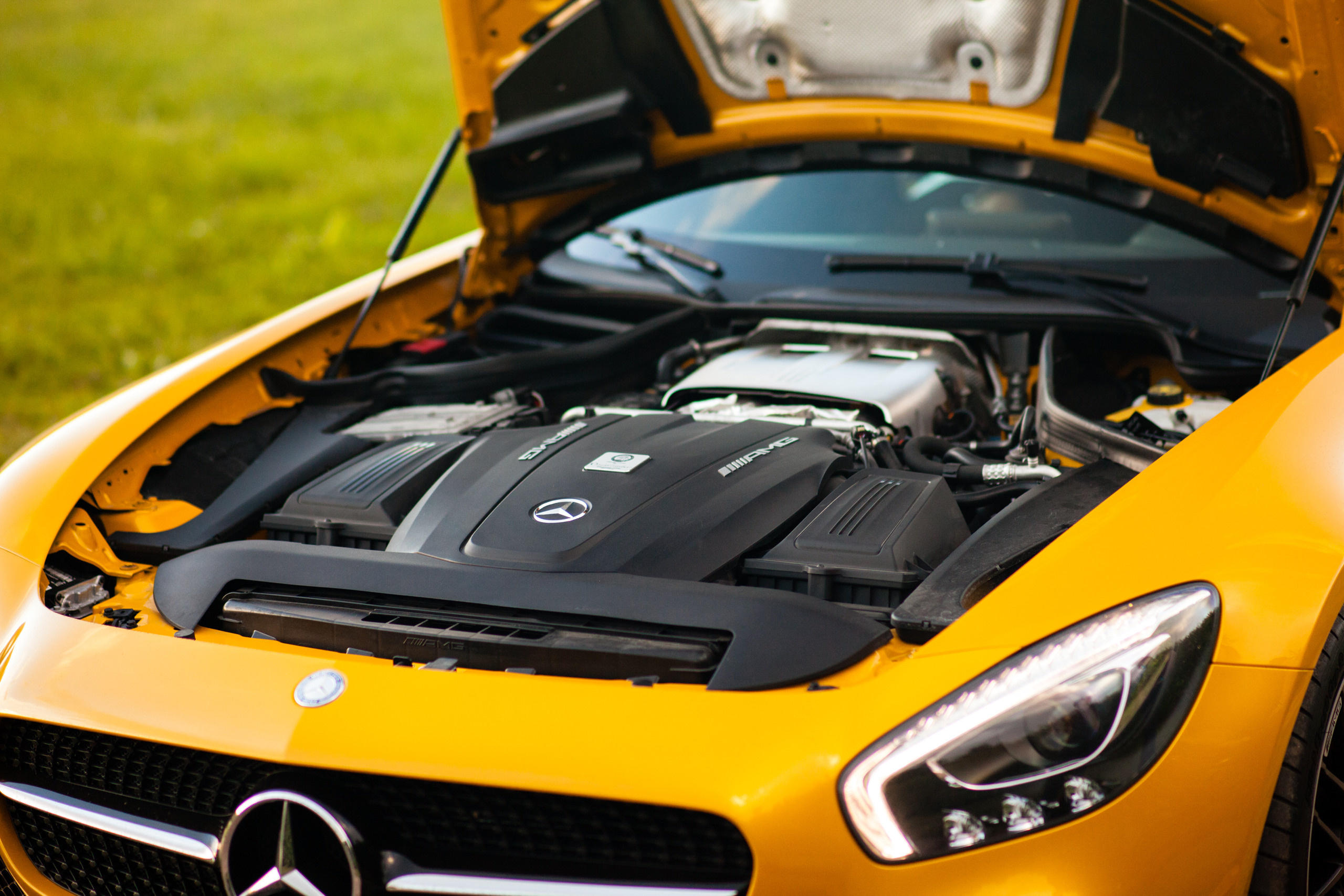 Автокультура в Архангельском