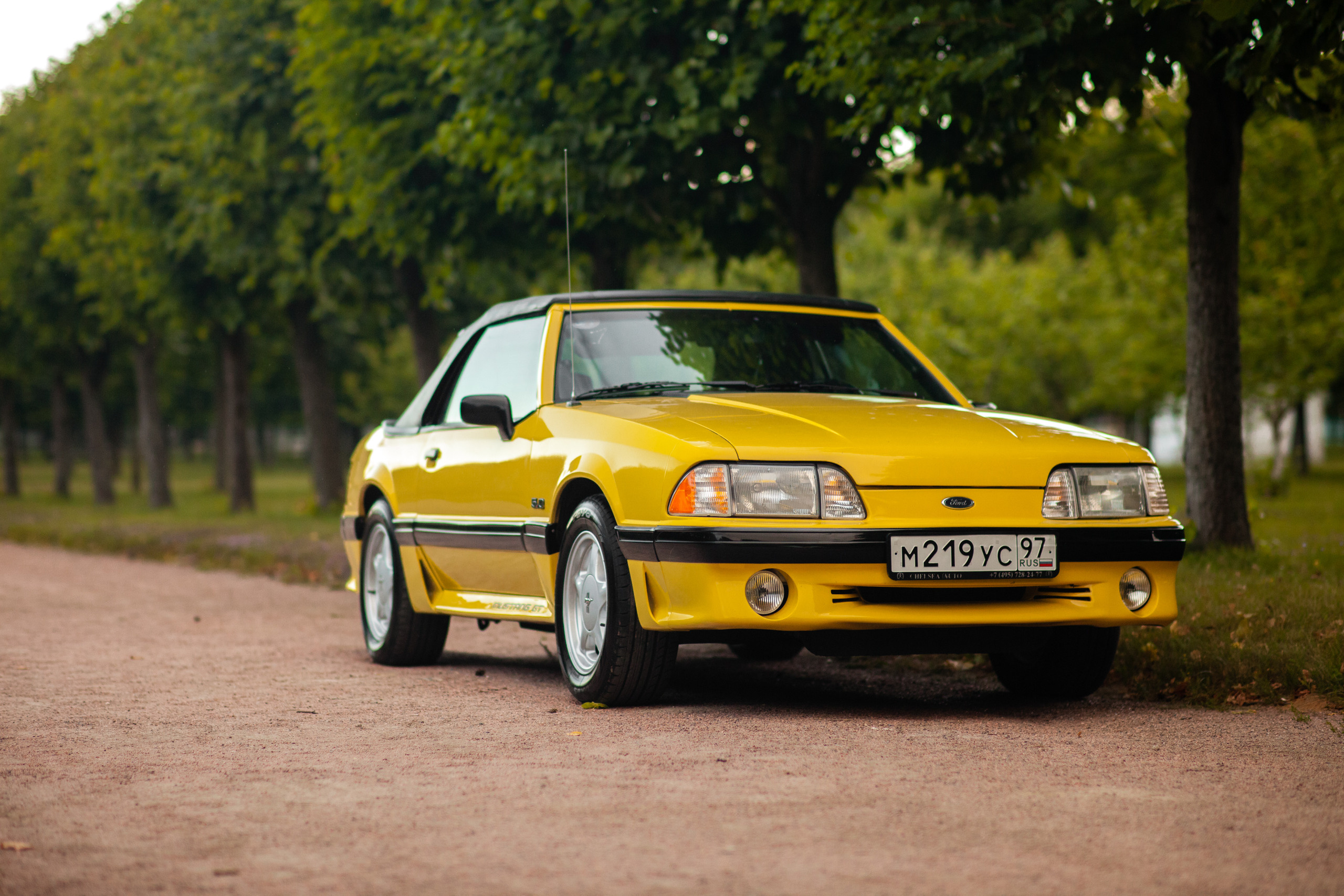 Автокультура в Архангельском