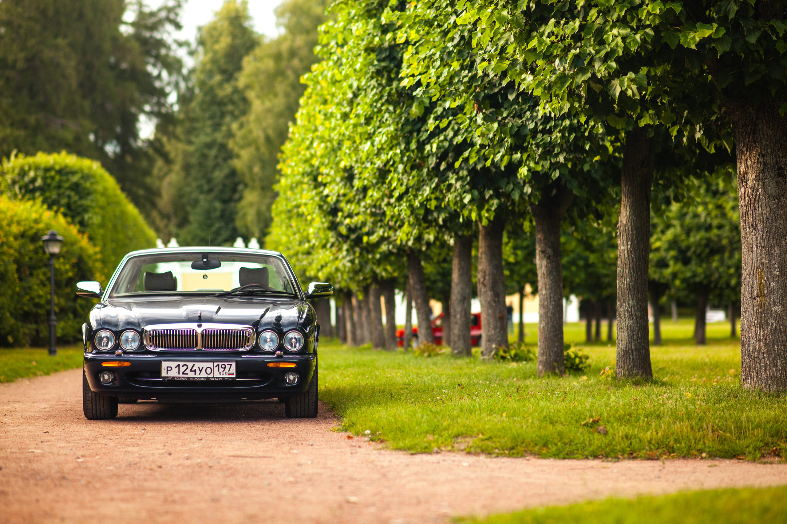 Автокультура в Архангельском