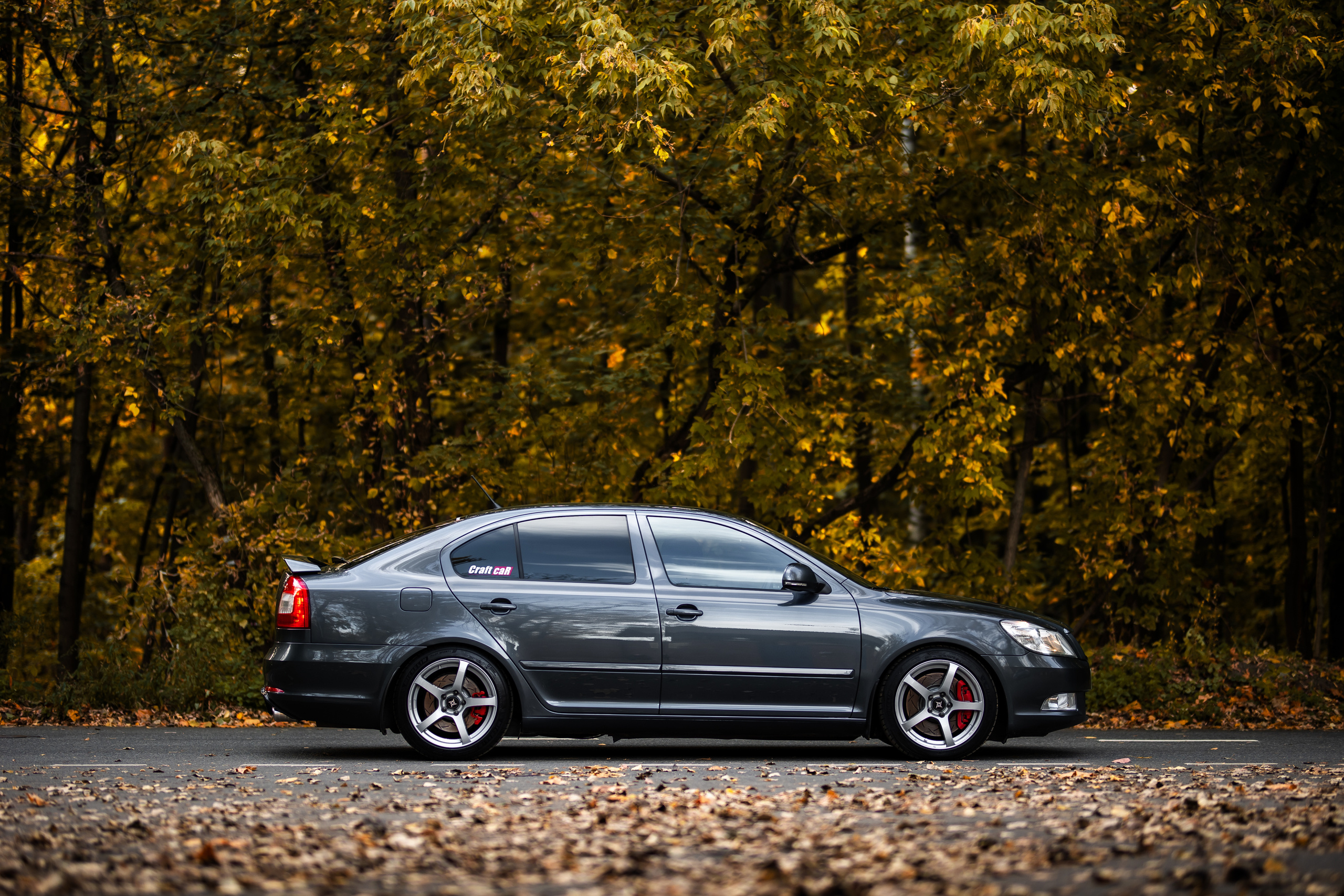 Rigshot Skoda Octavia REVO. Фотограф Сергей Лукьянов @xapeton_photo Москва