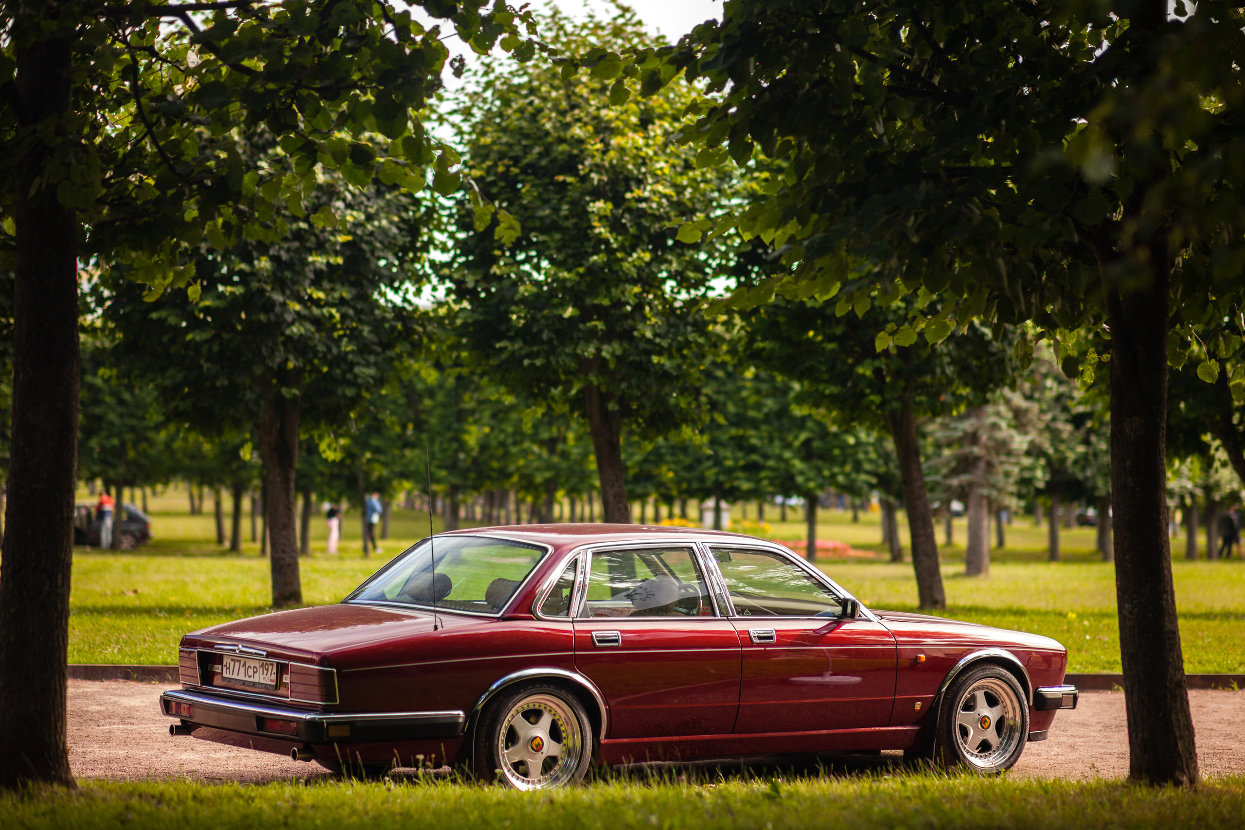 Автокультура в Архангельском