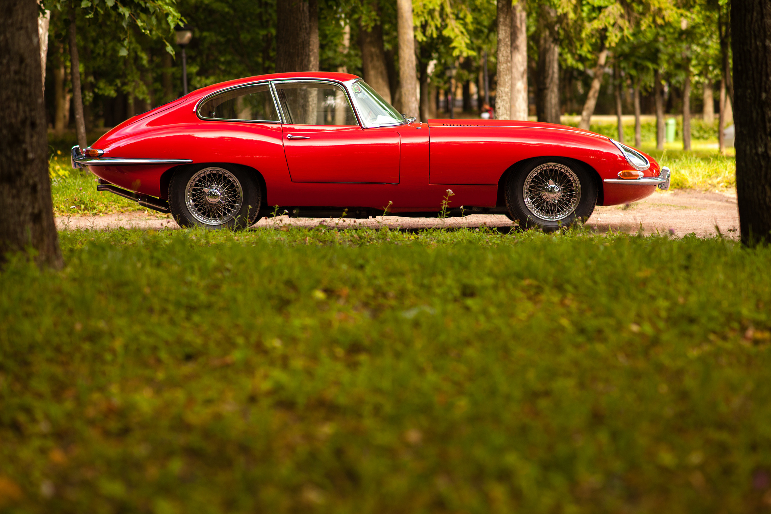 Автокультура в Архангельском