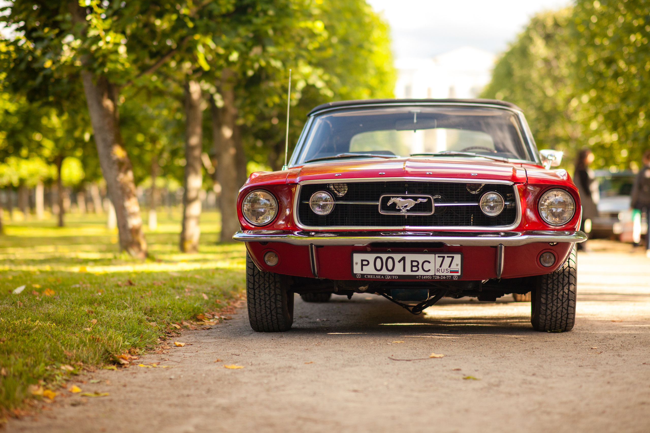 Автокультура в Архангельском