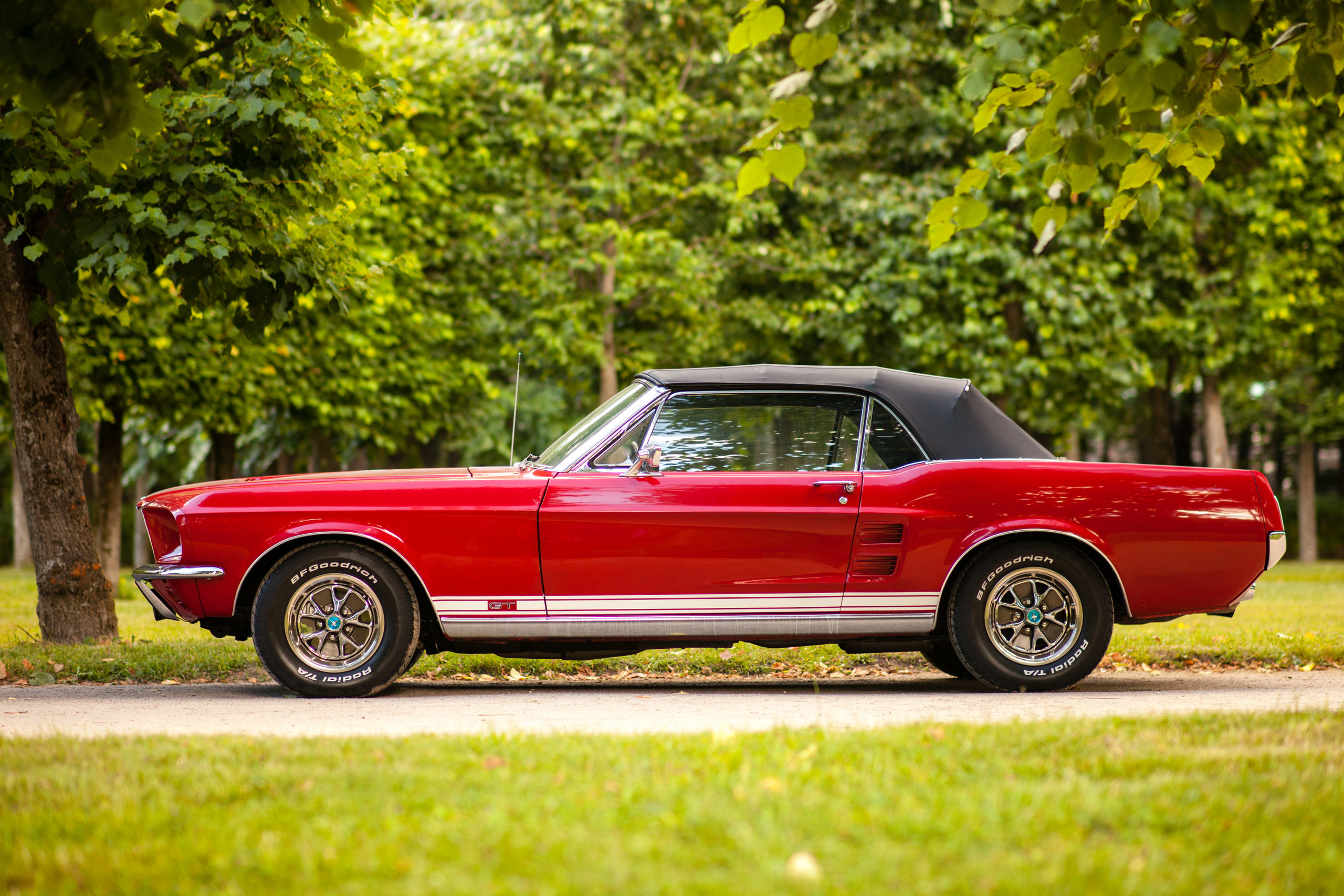 Автокультура в Архангельском