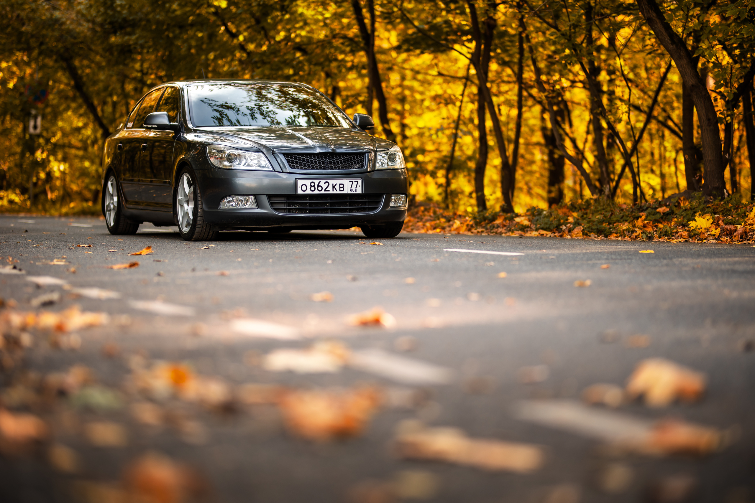 Rigshot Skoda Octavia REVO. Фотограф Сергей Лукьянов @xapeton_photo Москва